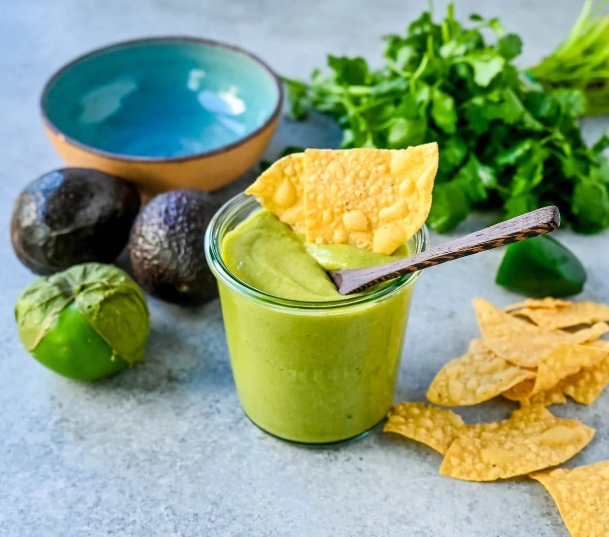 Avocado Salsa (Guacamole Salsa)