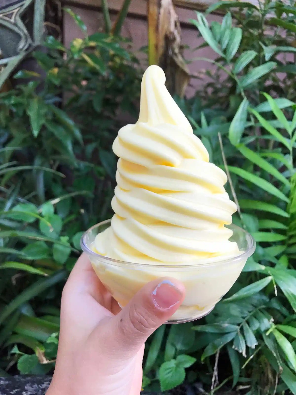 Dole Whip Soft-Serve at Disneyland. The Best Eats and Treats at Disneyland. The best food to eat at Disneyland. A list of the most popular and favorite food at Disneyland parks. A list of what to eat at Disneyland. www.modernhoney.com