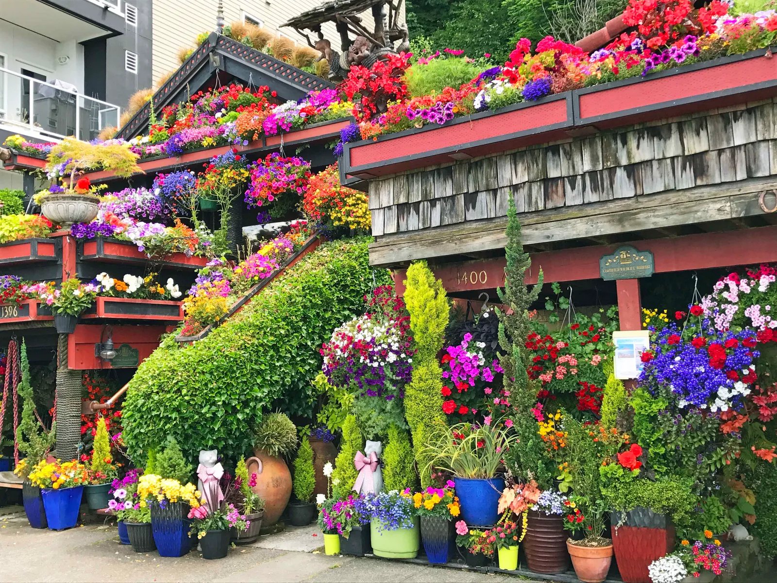 Famous Flower Home at Alki Beach. Best Places to Eat and See in Seattle. The most popular spots to visit and the best restaurants. Tips on the best places to see in Seattle Washington. www.modernhoney.com