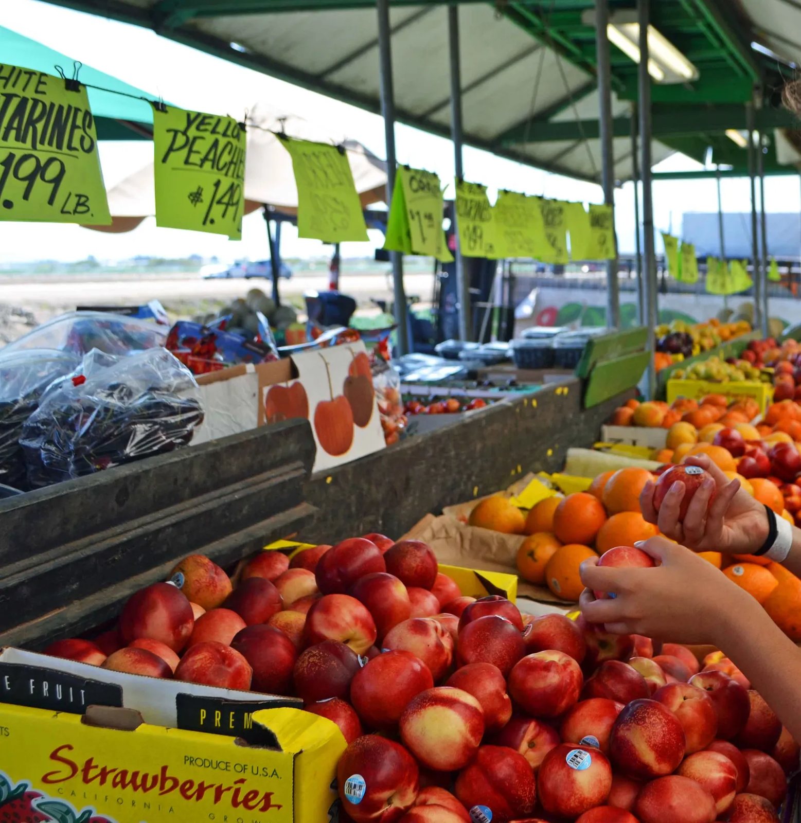 Farmer's Market California Pacific Coast Highway 1 Road Trip Guide