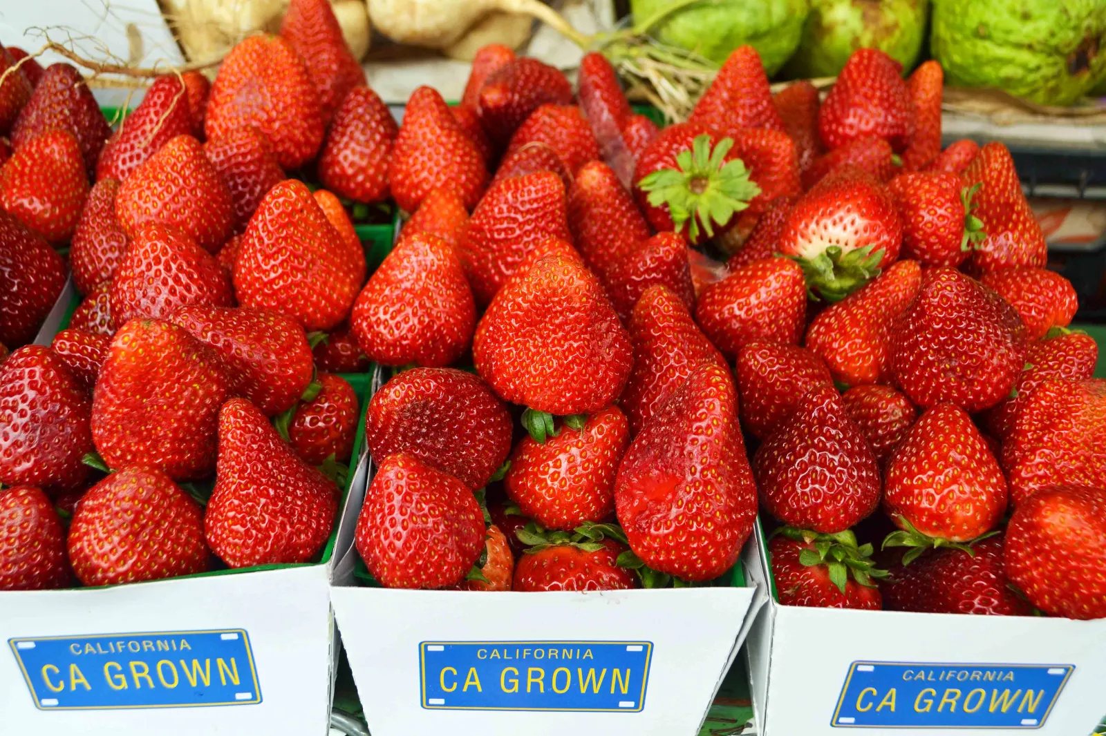 California Pacific Coast Highway 1 Road Trip Guide Farmer's Markets
