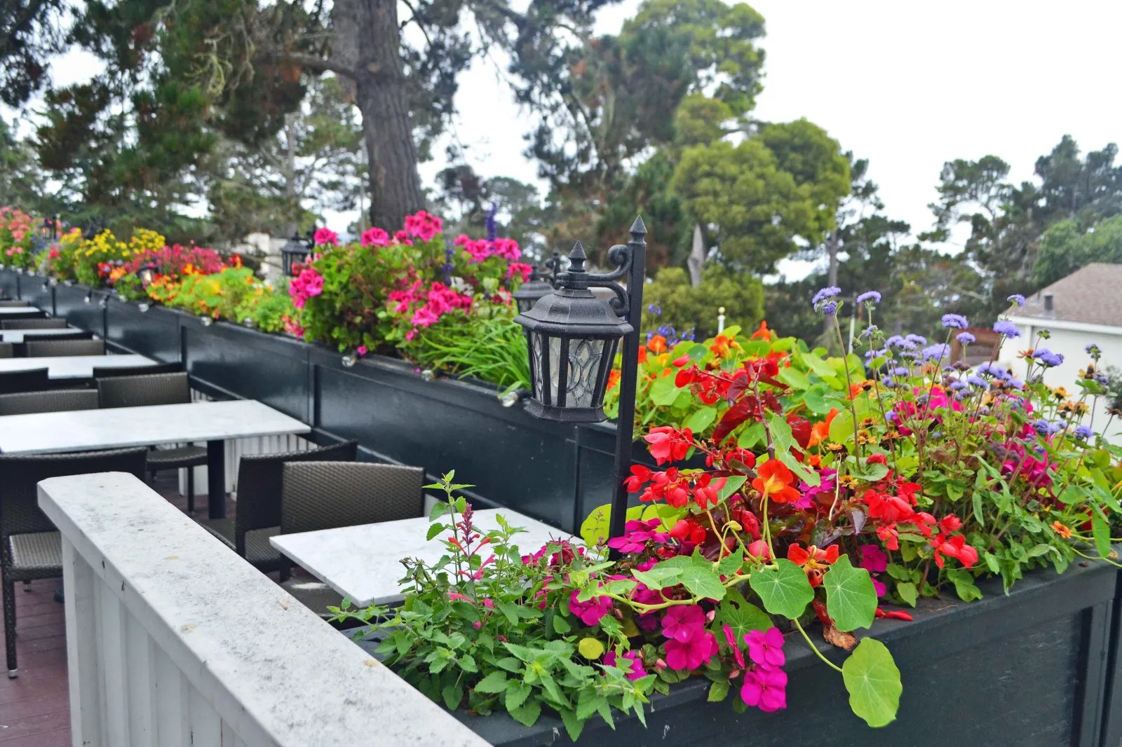 California Pacific Coast Highway 1 Road Trip Guide. Downtown Carmel by the Sea. Il Fornaio Flower Boxes.