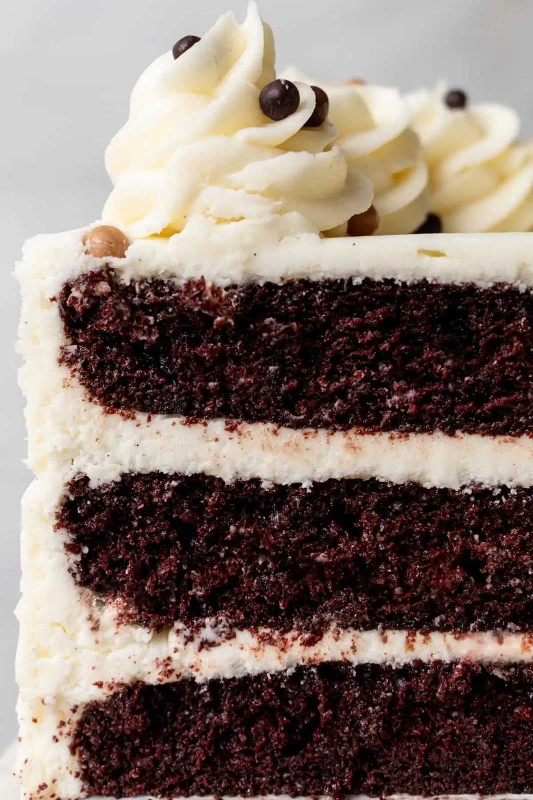 Chocolate Cake with Vanilla Frosting