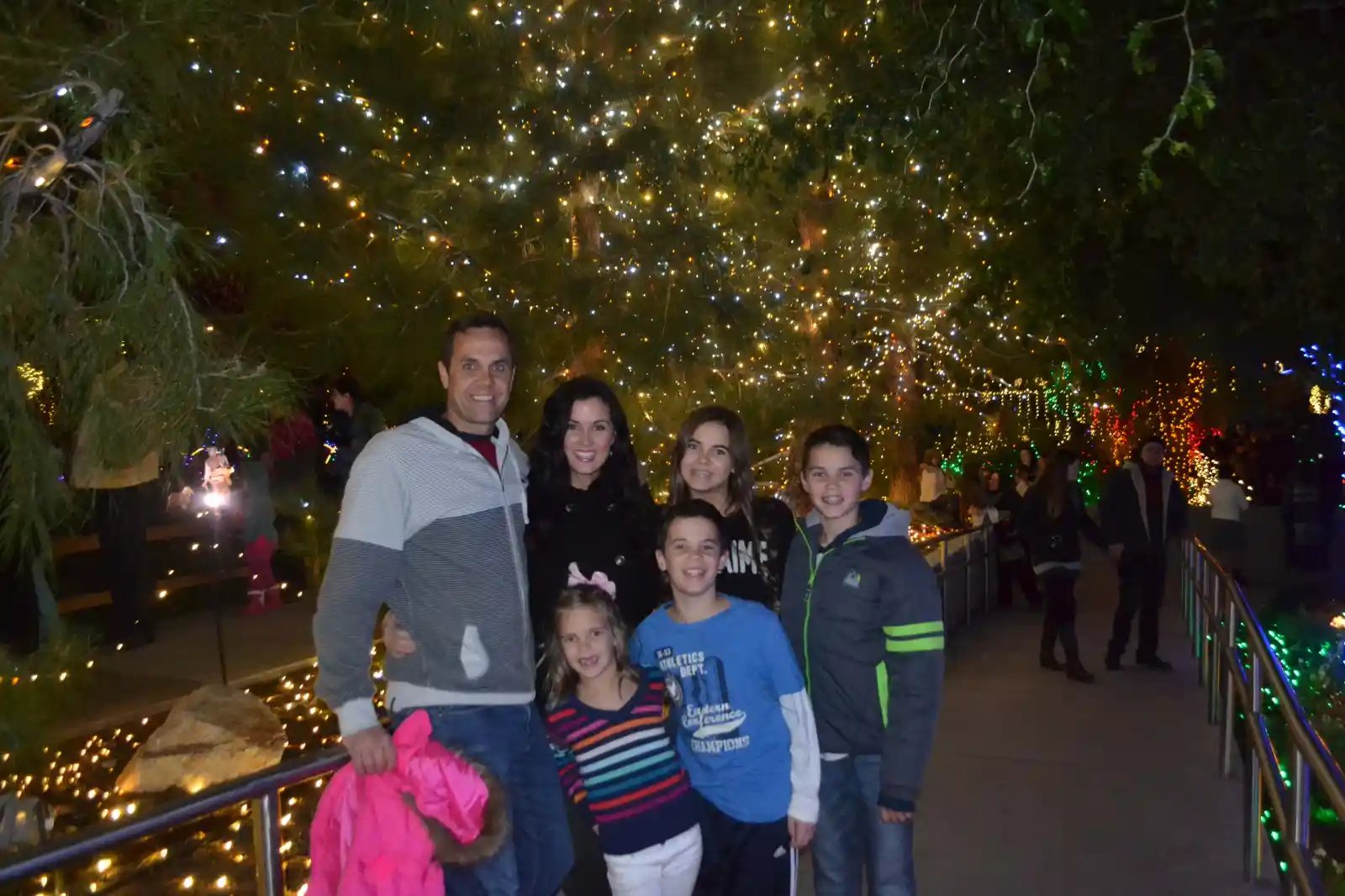 Christmas Bucket List. 10 Ways to Feel the Christmas Spirit by Modern Honey. Mesa Arizona Temple Christmas Lights.