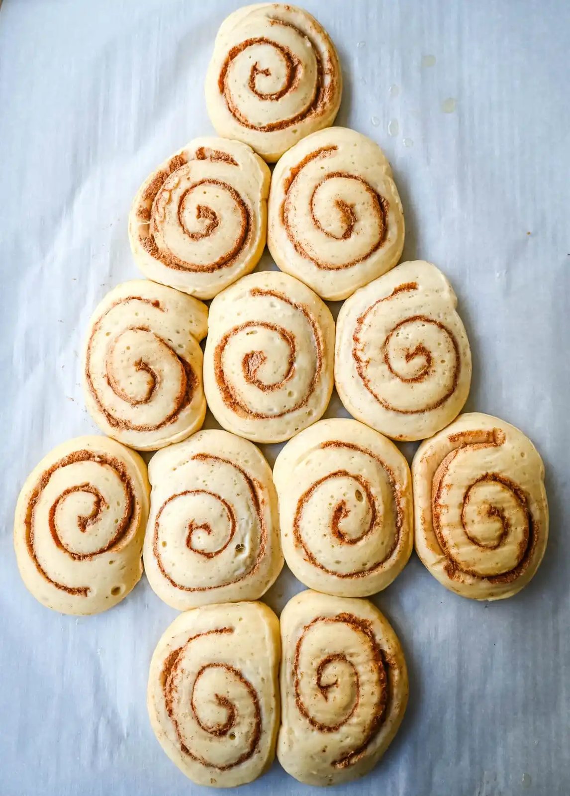 Arranging cinnamon roll dough into a Christmas tree shape to make a Cinnamon Roll Christmas Tree