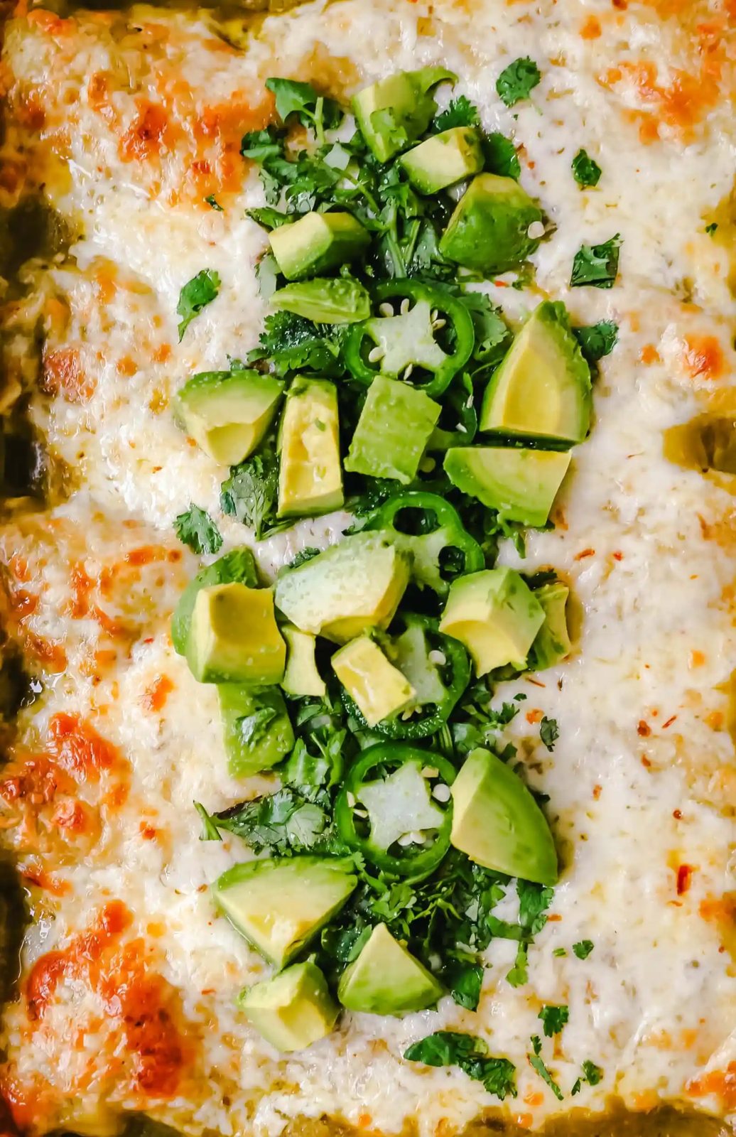 Creamy Green Chile Chicken Enchiladas Creamy chicken enchiladas stuffed with a cream cheese and sour cream green chile chicken rolled into corn tortillas and topped with green enchilada sauce and pepper jack cheese. The best creamy chicken enchiladas recipe! www.moderrnhoney.com #enchiladas #mexicanfood