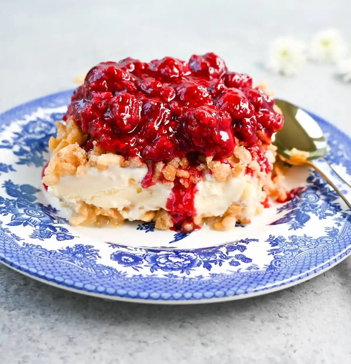 Crunchy Munchy Ice Cream Dessert