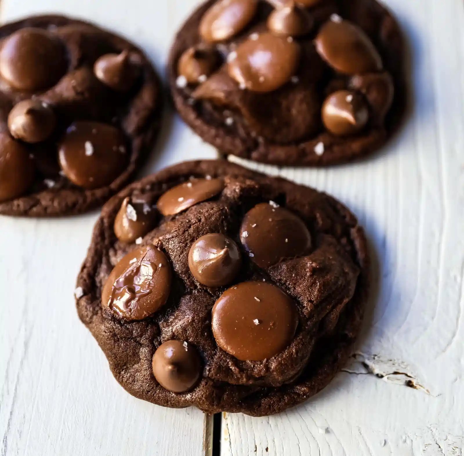 Double Chocolate Cookies Rich, velvety, melt-in-your-mouth chocolate cookies with melted chocolate chunks. The perfect double chocolate chip cookie recipe! How to make the best double chocolate chip cookies! www.modernhoney.com #chocolatecookies #doublechocolatecookies #chocolate #chocolaterecipes