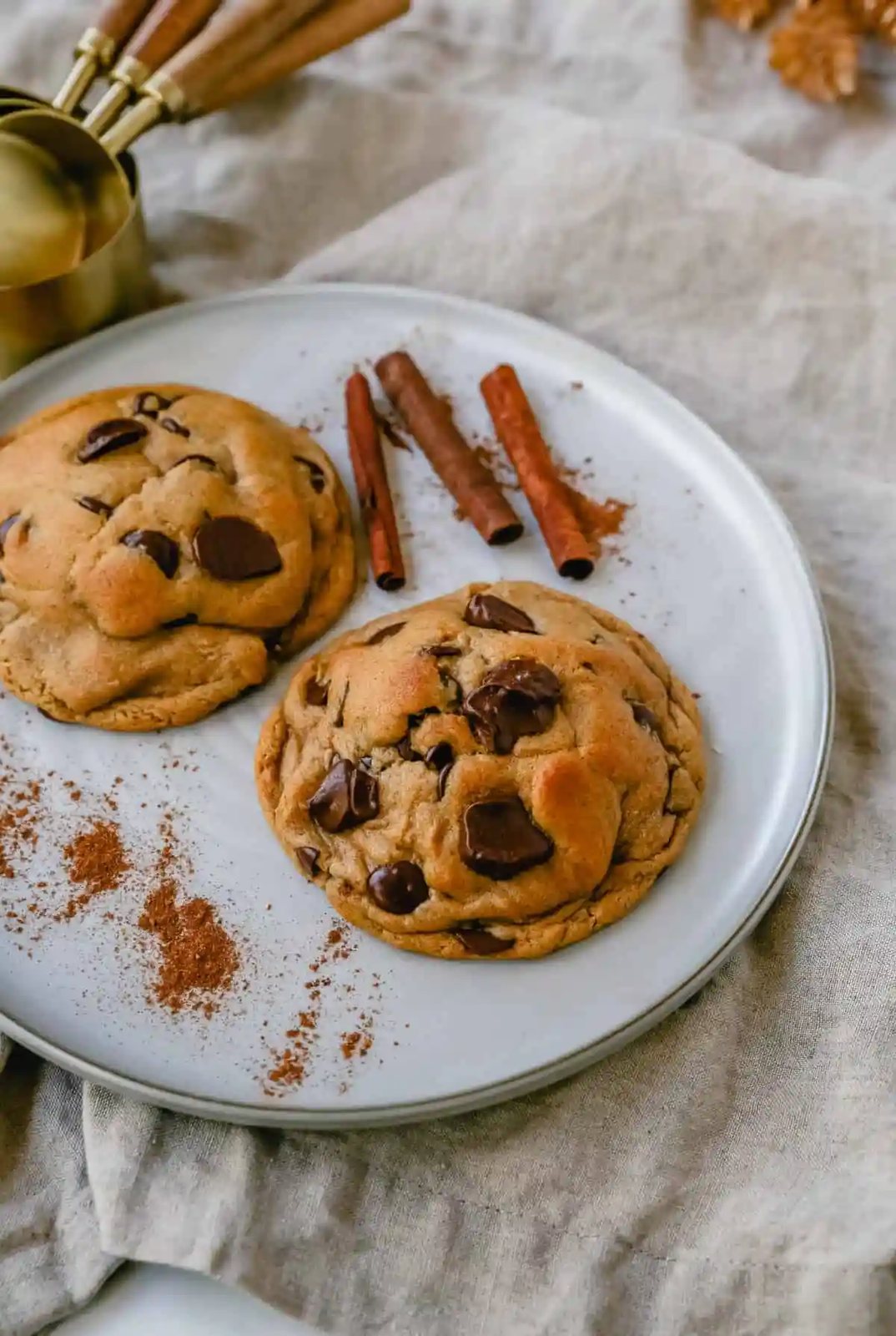 Soft, chewy Fall cookie with dark brown sugar, molasses, cinnamon, ginger, cloves, nutmeg, and chocolate chips for the perfect Autumn cookie. This is the perfect Fall spiced chocolate chip cookie recipe!