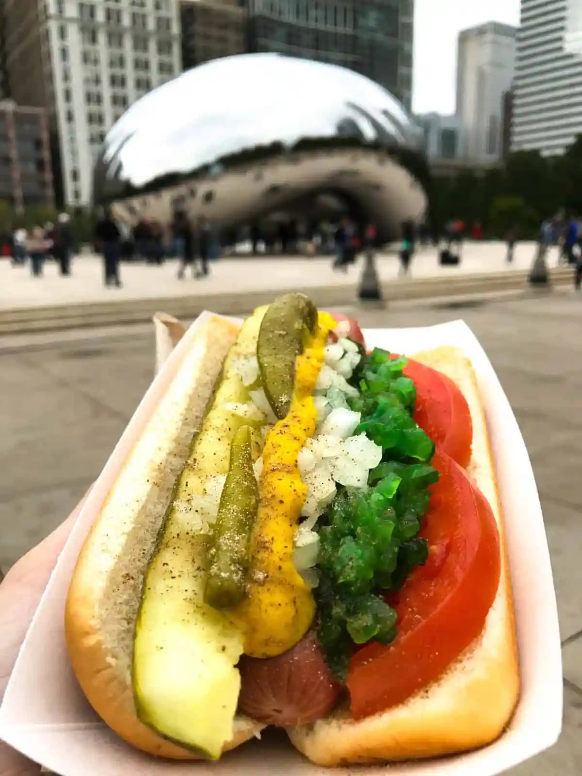 Chicago Dog in Chicago at the Bean