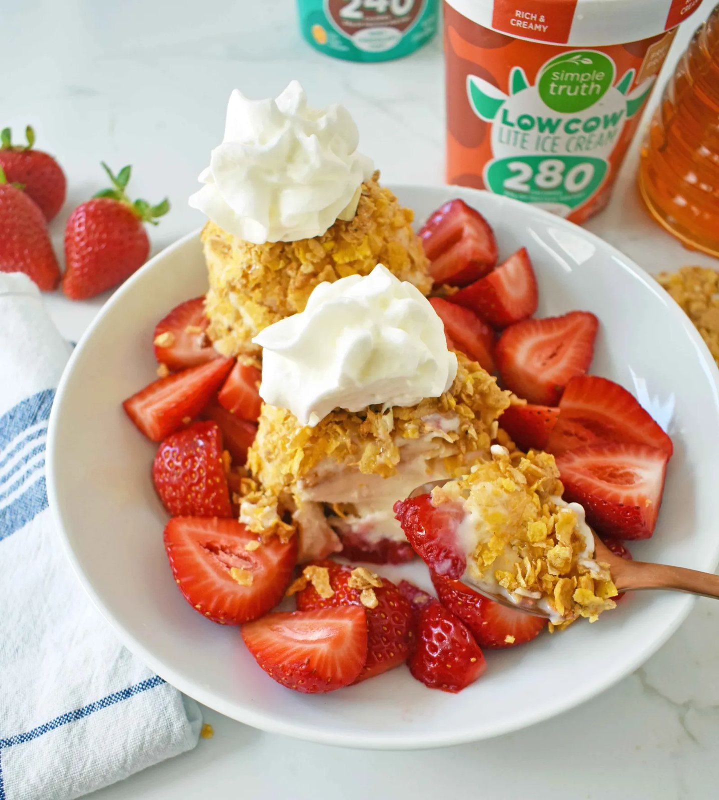 Lowfat Protein No Fried Ice Cream