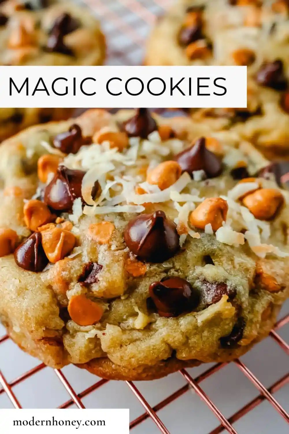 The popular 7-layer bar made into a cookie! A chewy cookie with crisp edges with butterscotch chips, semi-sweet chocolate chips, shredded coconut, and pecans. A salty and sweet cookie.