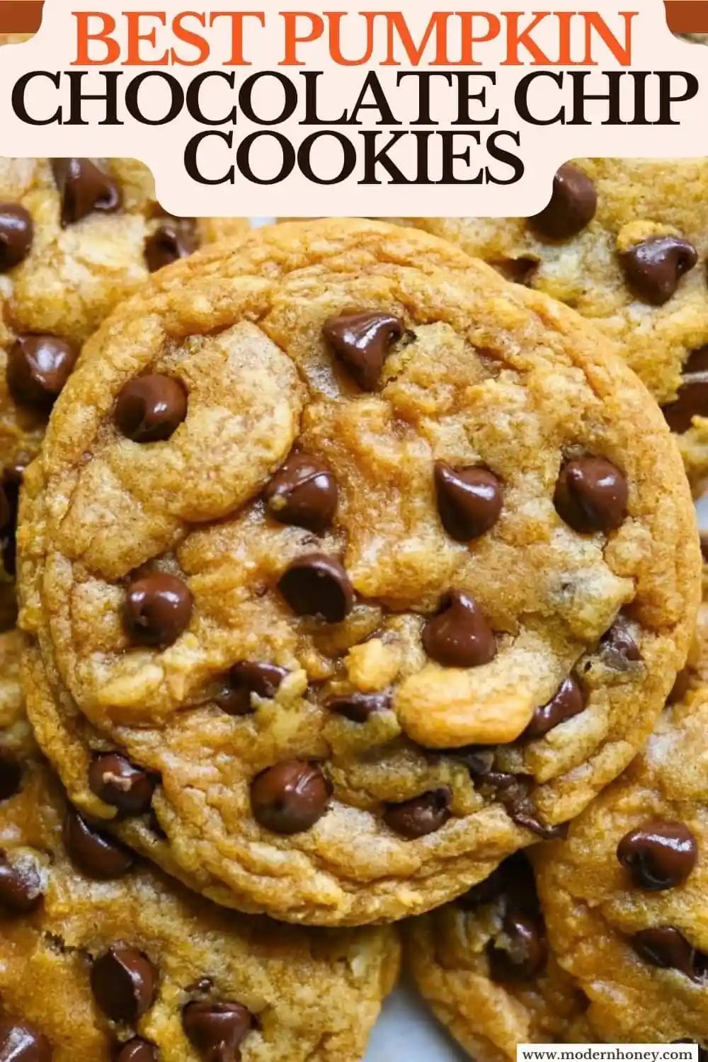 These pumpkin chocolate chip cookies are soft, chewy, and loaded with melty chocolate, with none of the cakey, muffin-top texture most pumpkin cookies have. Brown butter gives them a deep toffee-caramel flavor, and one simple trick with the pumpkin purée is what keeps them chewy instead of puffy.