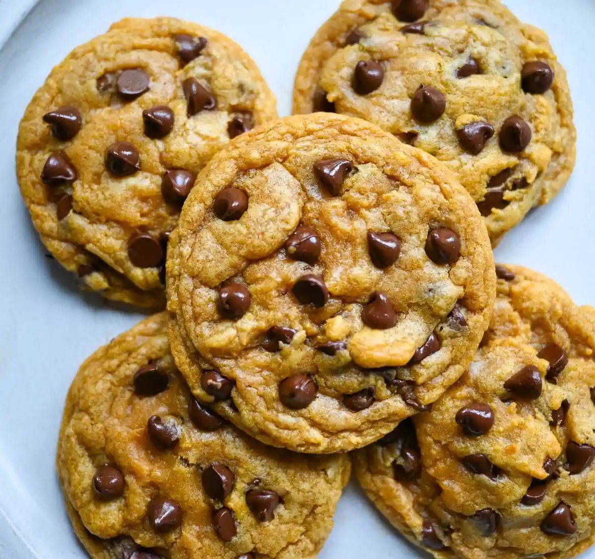 These pumpkin chocolate chip cookies are soft, chewy, and loaded with melty chocolate, with none of the cakey, muffin-top texture most pumpkin cookies have. Brown butter gives them a deep toffee-caramel flavor, and one simple trick with the pumpkin purée is what keeps them chewy instead of puffy.