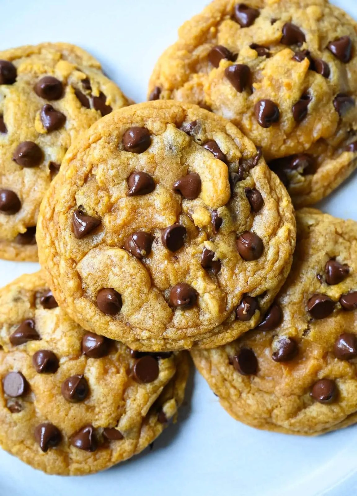 Pumpkin Chocolate Chip Cookies