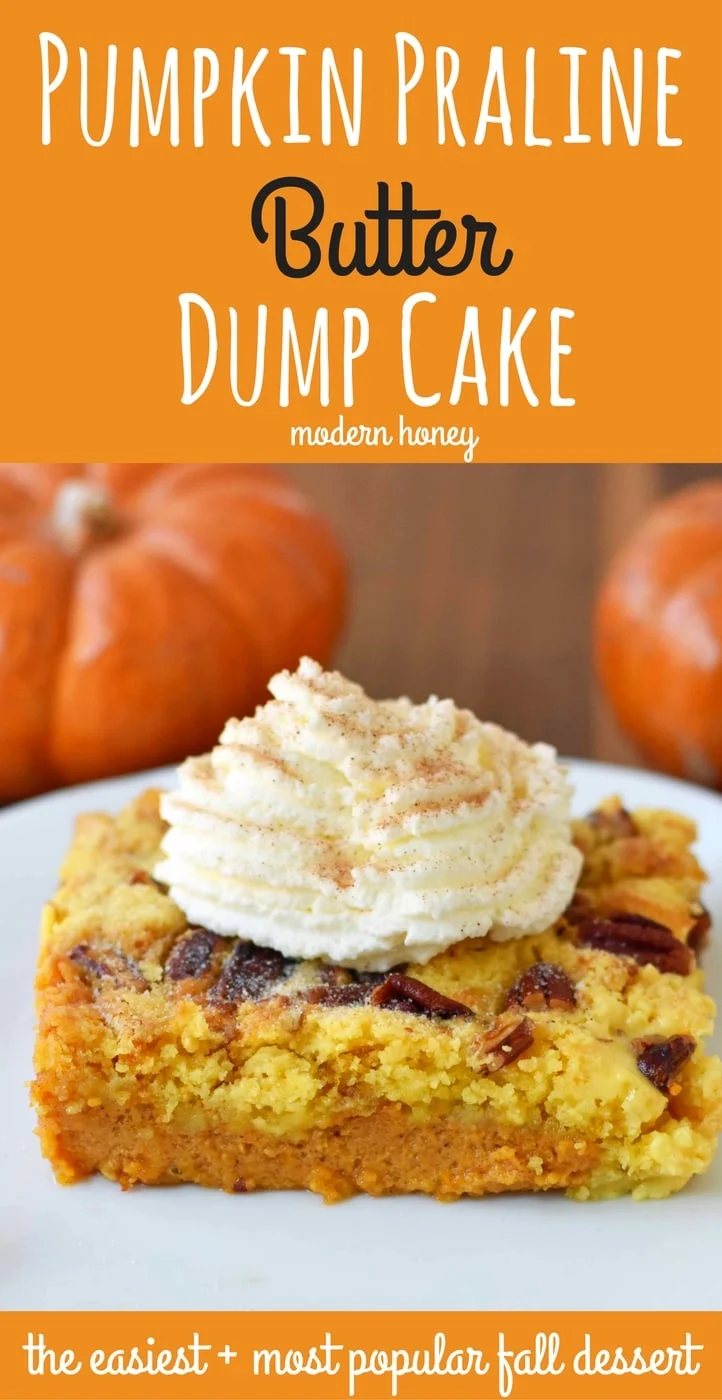 Pumpkin Praline Butter Dump Cake. Pumpkin custard filling baked with a buttery crunchy cake topping. This is the perfect pumpkin Fall dessert. www.modernhoney.com