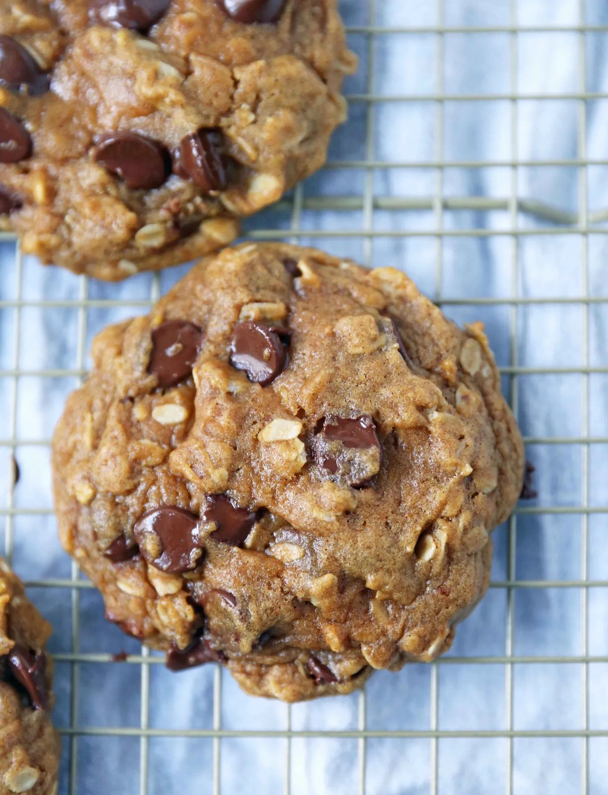 Pumpkin Chocolate Chip Cookies How to make the perfect chewy, melt-in-your-mouth pumpkin chocolate chip cookie. These pumpkin oatmeal chocolate chip cookies are made with browned butter, spiced pumpkin, oatmeal, and rich semi-sweet chocolate chips. This chocolate chip pumpkin cookie is the perfect Fall cookie.