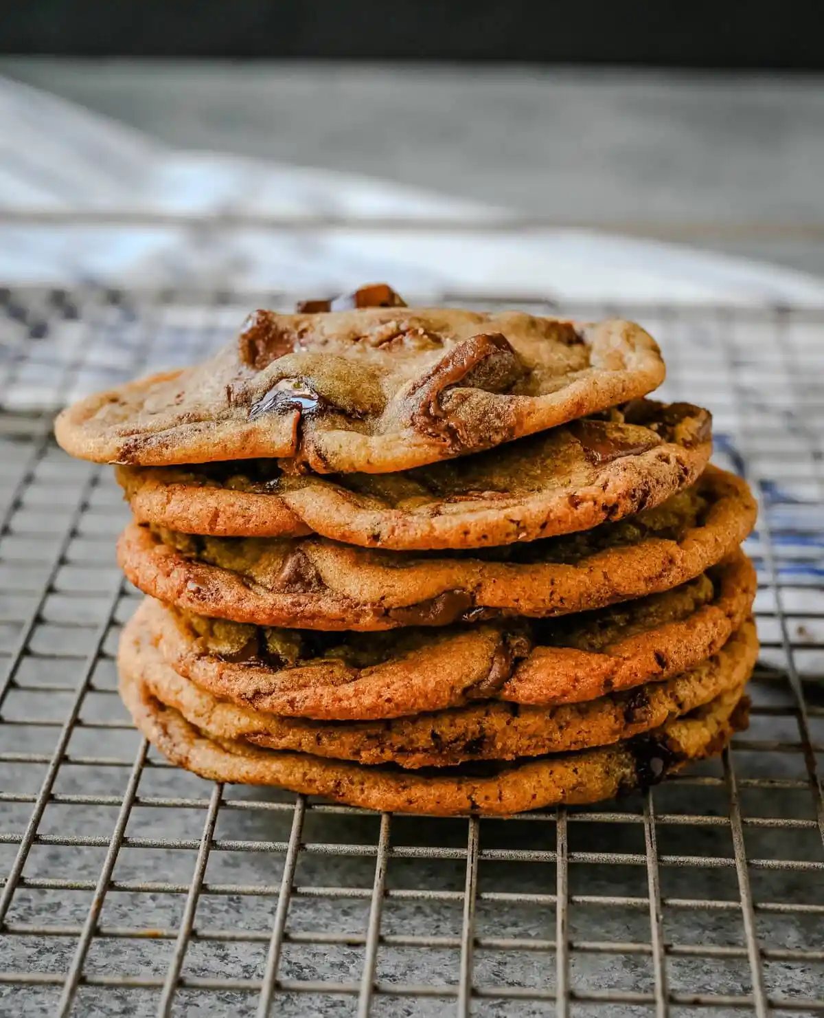 Thin and Chewy Chocolate Chip Cookies