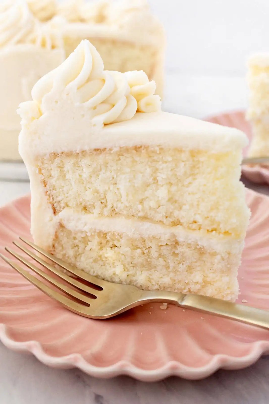 Best Vanilla Cake Recipe