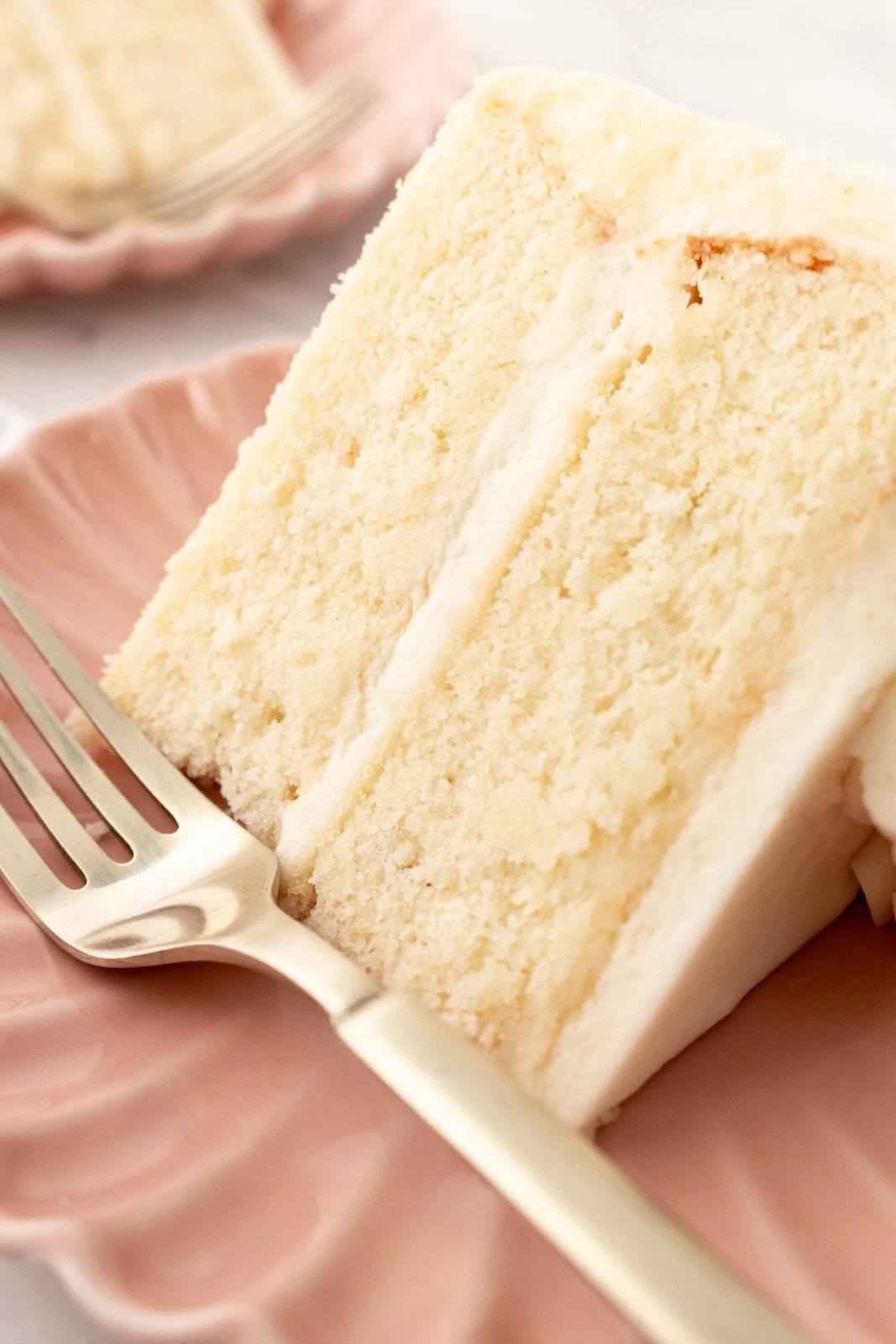 The best homemade vanilla cake recipe with vanilla bean buttercream frosting. If you’re looking for the best homemade vanilla cake recipe, this is it! This moist and fluffy vanilla cake is easy to make from scratch using simple ingredients. Perfect for birthdays or celebrations. This white cake recipe features a light, airy crumb and the most tender texture. This is a bakery-worthy dessert!