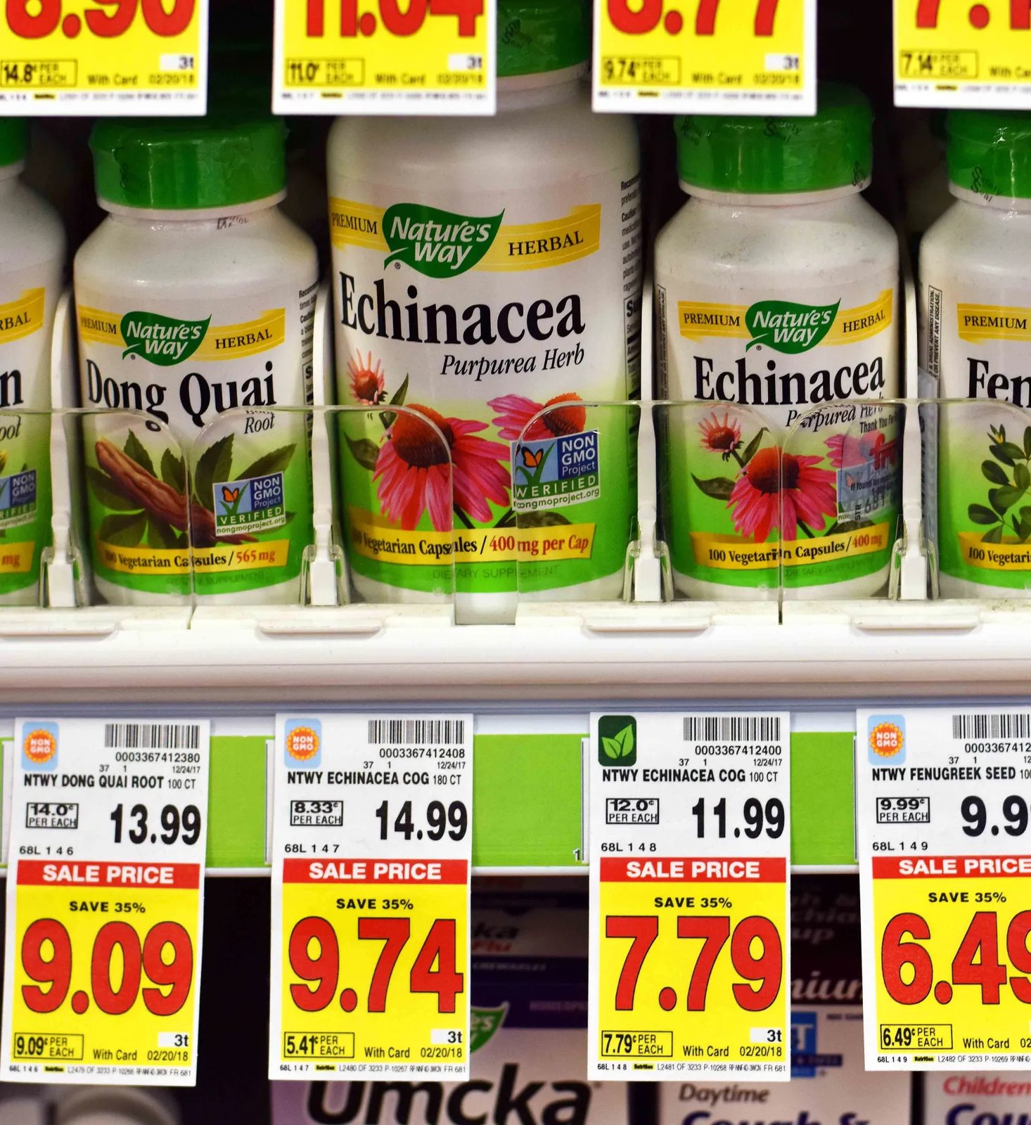 Ways to Keep Your Immune System Healthy and Strong. How to boost immune system. Ideas of Immune system boosters to keep you from getting sick. How to fight off illness and keep immune system strong and healthy. Echinacea at Fry's Kroger stores. www.modernhoney.com