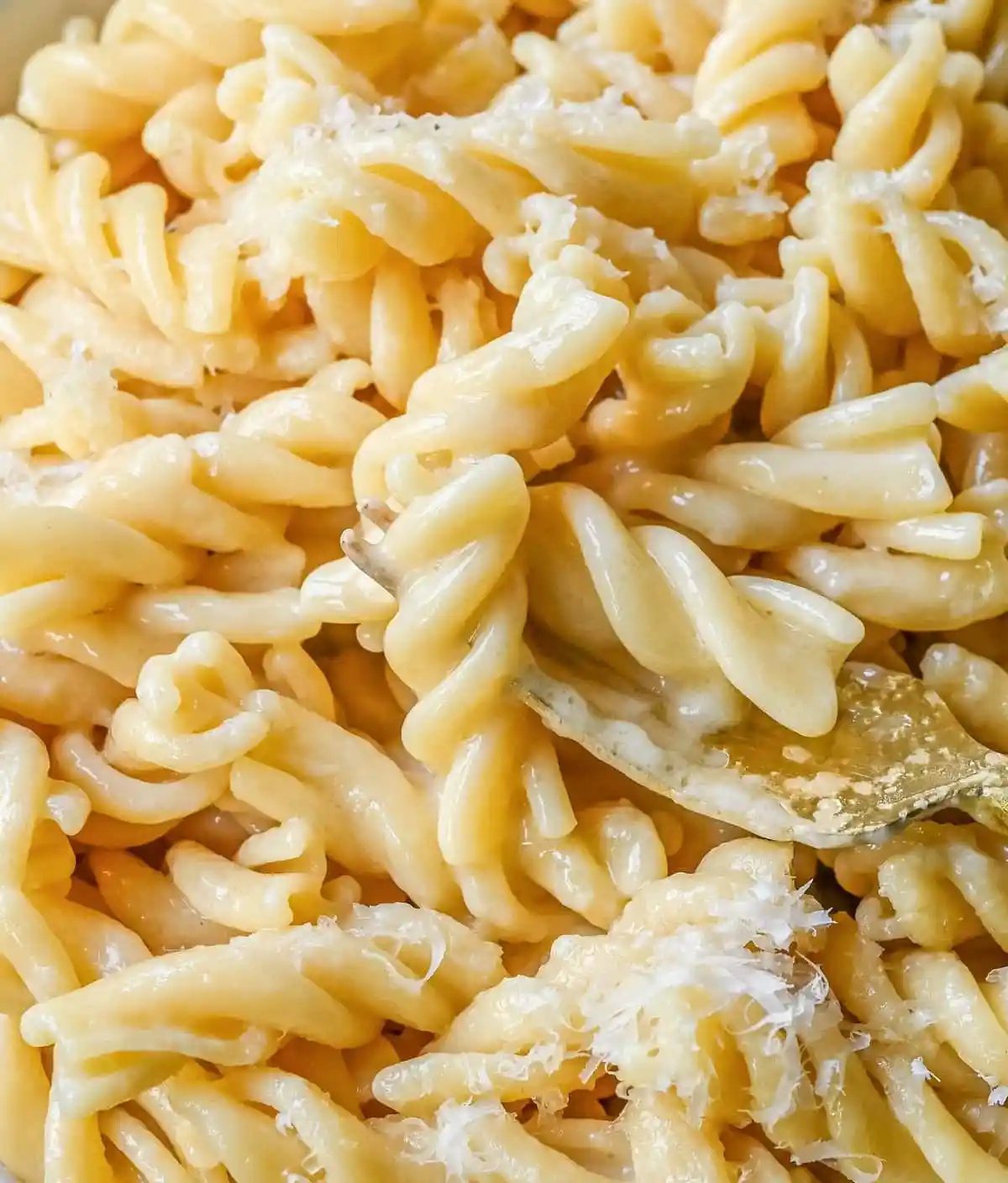 World's Best Buttered Noodles Ingredients. These buttered noodles are the easiest comfort food ever made with tender pasta, butter, and parmesan cheese. You only need 3 ingredients to make this butter parmesan pasta (also known as Burro e Parmigiano).