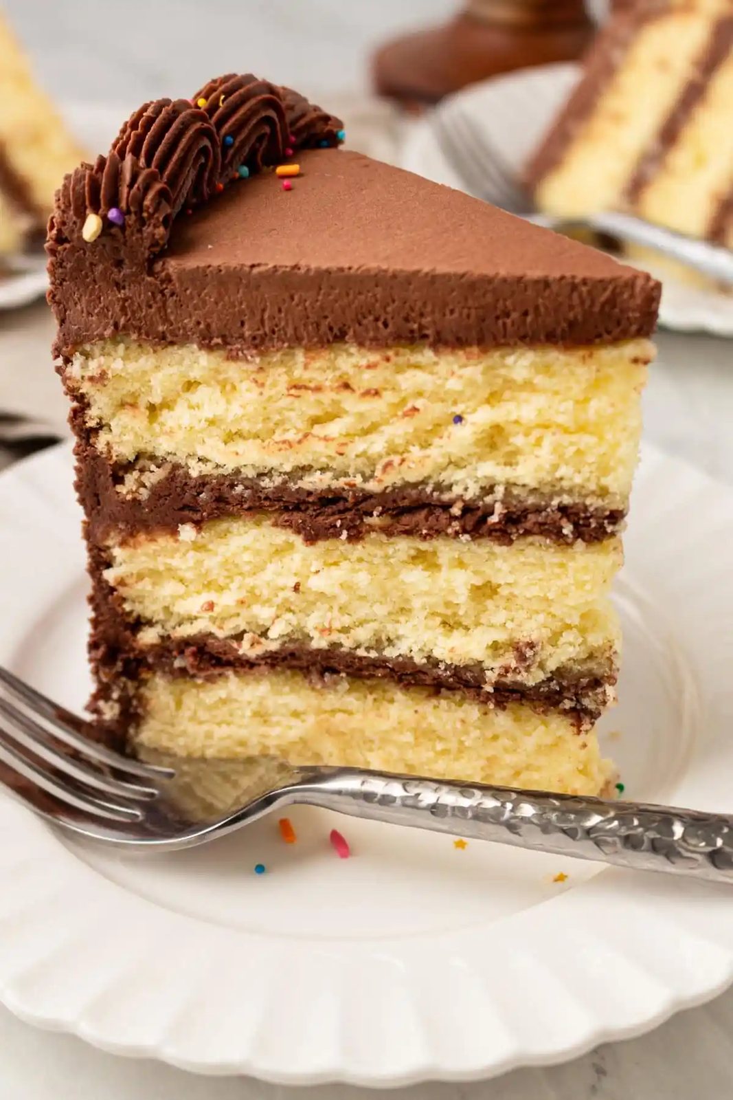 Yellow Birthday Cake with Milk Chocolate Frosting