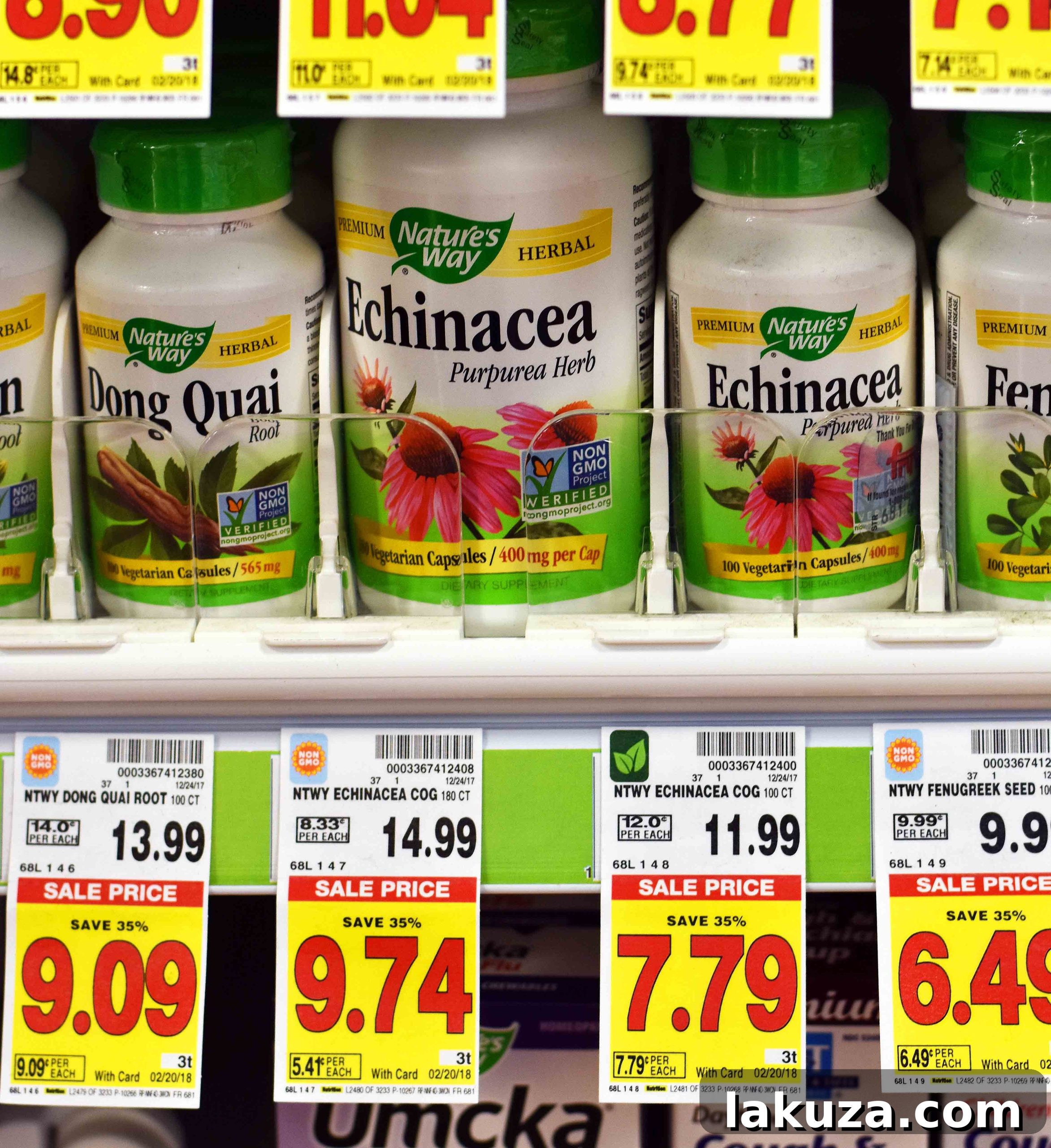 Echinacea supplements available at Kroger Fry's stores to boost immunity. Natural herbal remedies for a stronger immune system. How to effectively fight off illness with plant-based support. Holistic ways to enhance immune health.