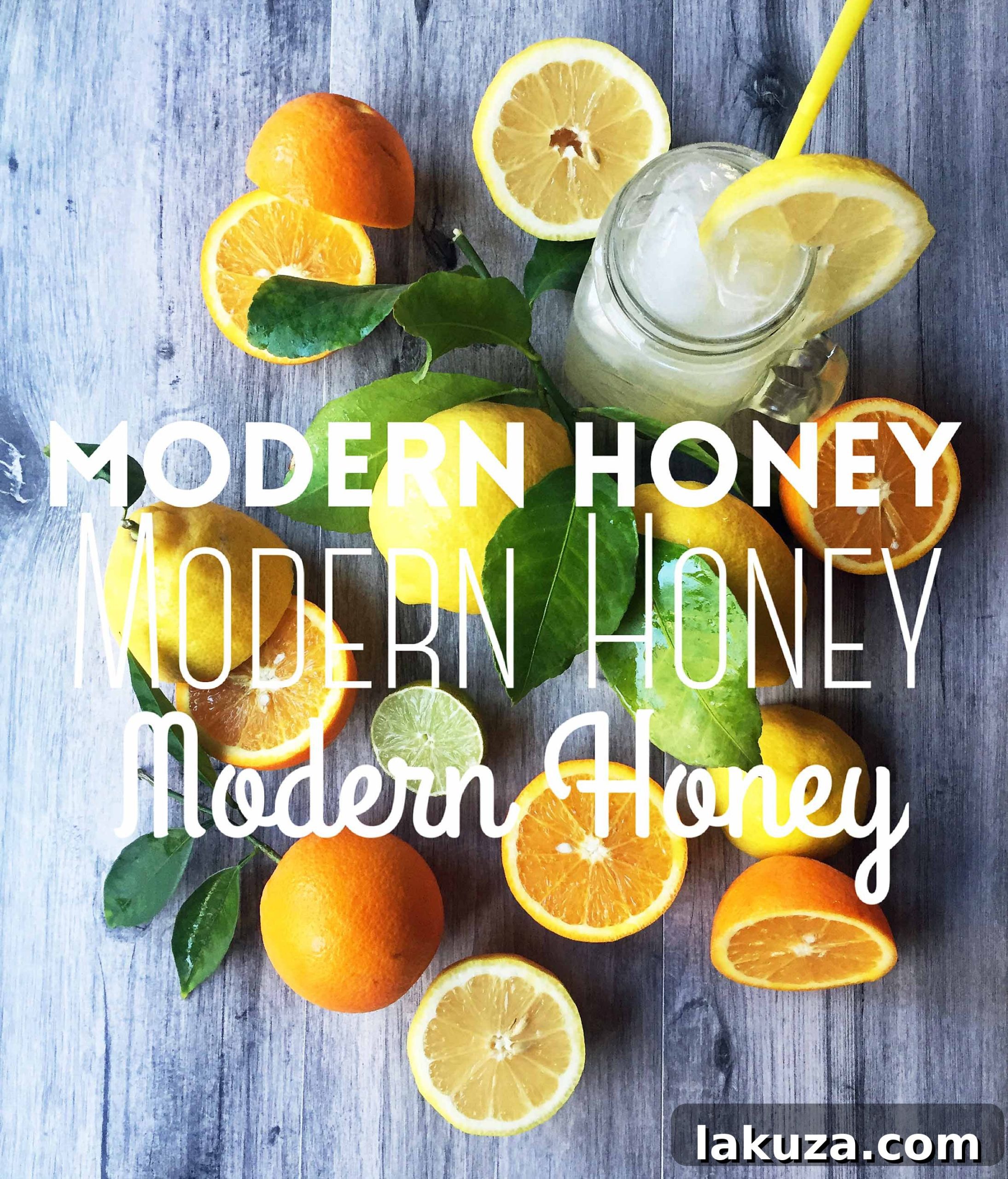 Modern Honey: Handcrafted Whole Foods by Melissa Stadler
