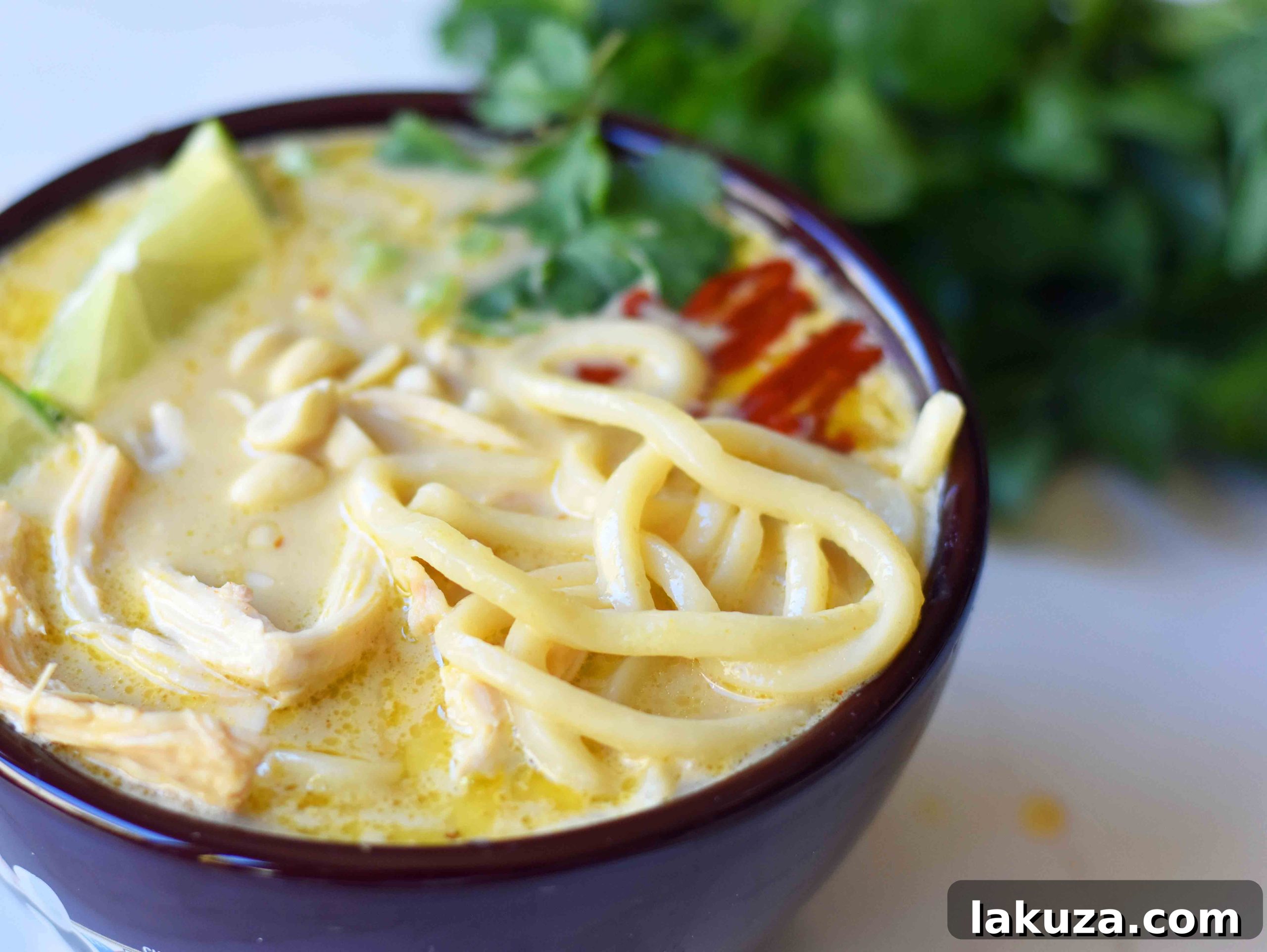 Creamy Coconut Curry Noodle Bowls 3 Coconut Curry Noodle Bowls. These Thai Curry Noodles are gluten-free and dairy-free and made in less than 30 minutes. A quick and easy 30-minute meal which is full of flavor.