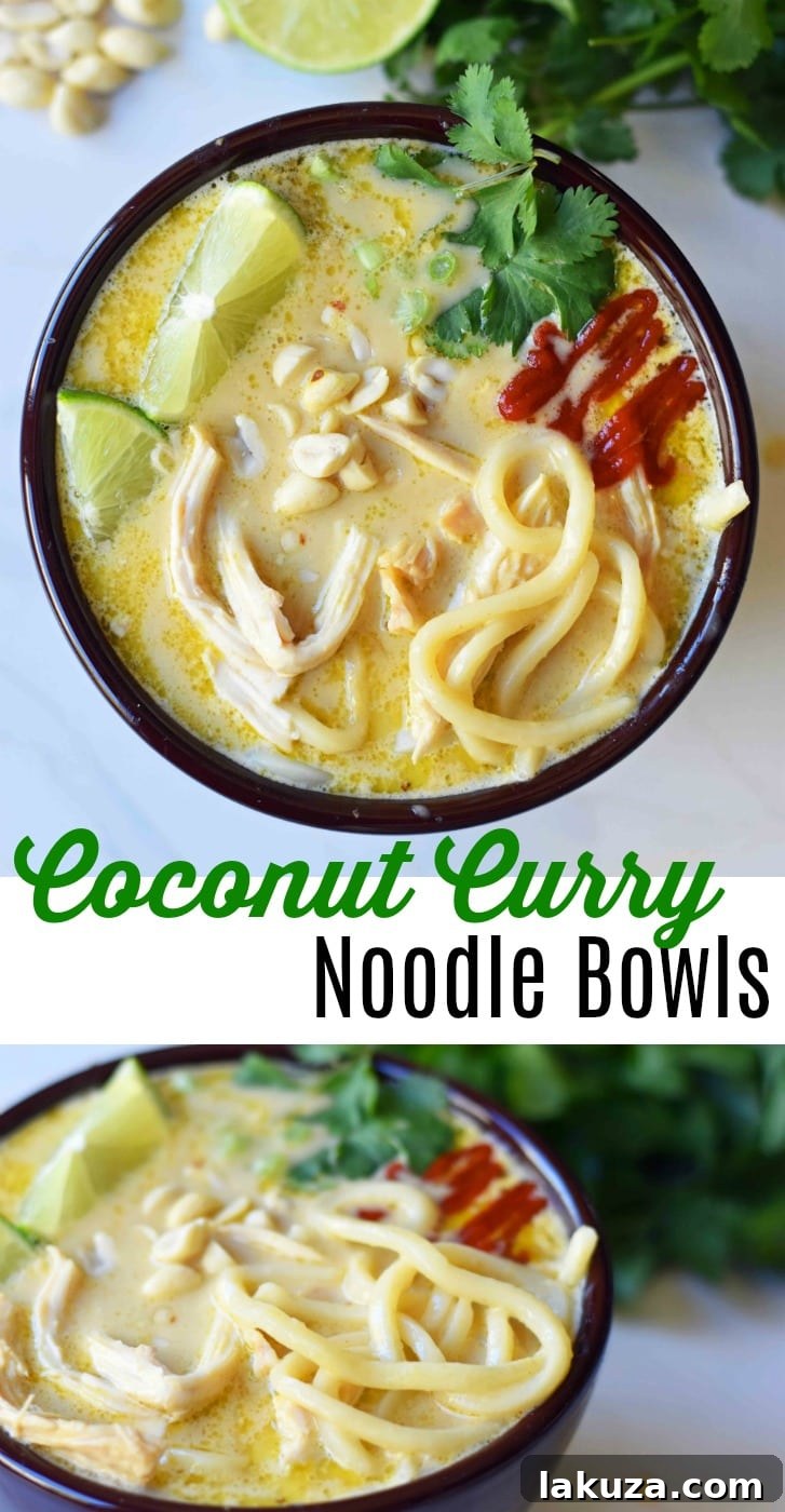 Creamy Coconut Curry Noodle Bowls 7 Coconut Curry Noodle Bowls. These Thai Curry Noodles are gluten-free and dairy-free and made in less than 30 minutes. A quick and easy 30-minute meal which is full of flavor.