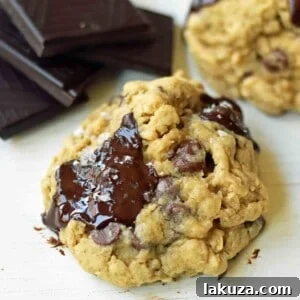 Gluten-Free Chocolate Chip Oatmeal Cookies. How to make the best gluten-free cookies. Perfect Gluten-Free Chocolate Chip Cookies. Homemade gluten free oatmeal chocolate chip cookies.