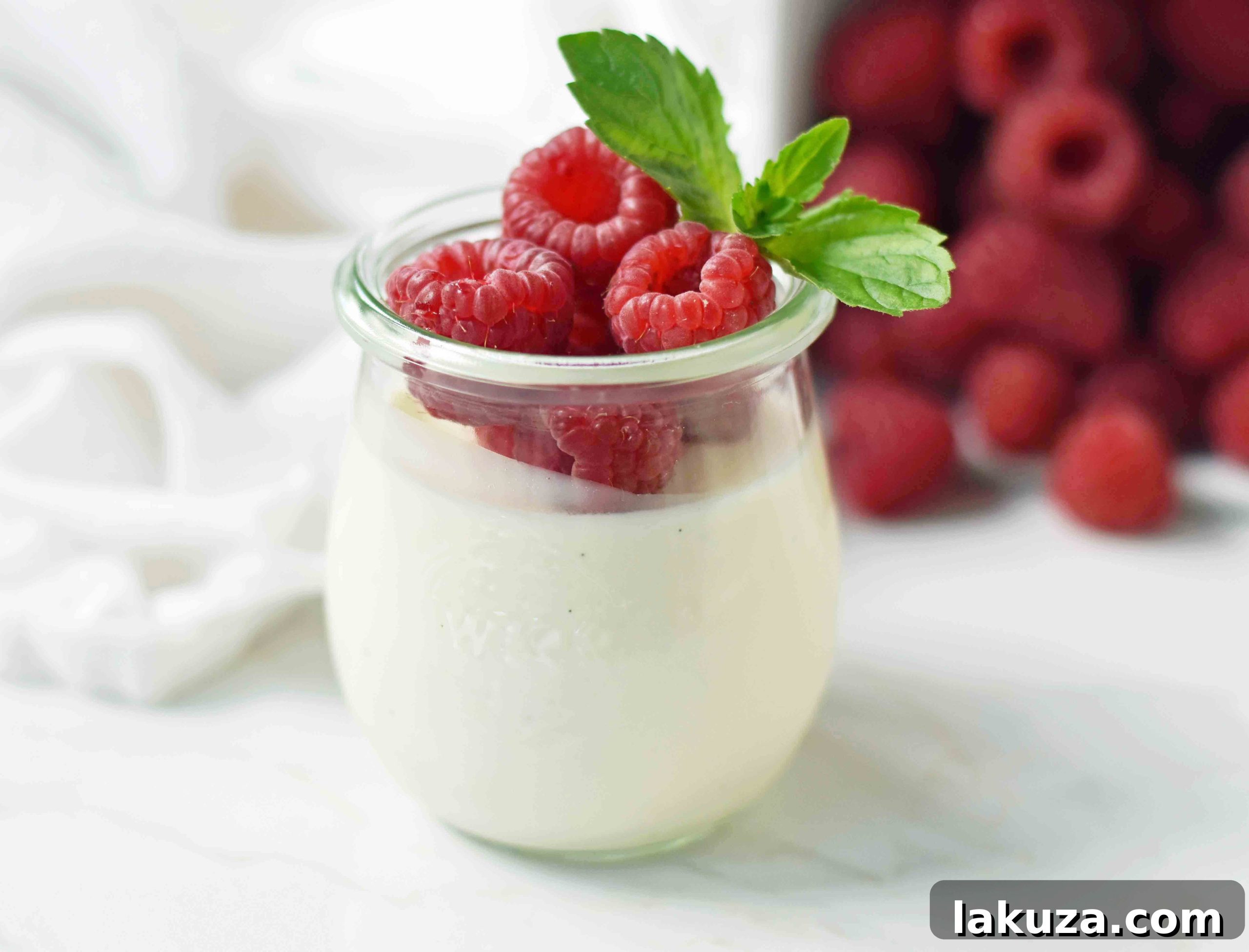Tangy Greek Yogurt Panna Cotta 4 Elegant Greek Yogurt Panna Cotta served with vibrant fresh raspberries, showcasing the dessert's smooth texture and beautiful presentation. A delightful and simple dessert choice.
