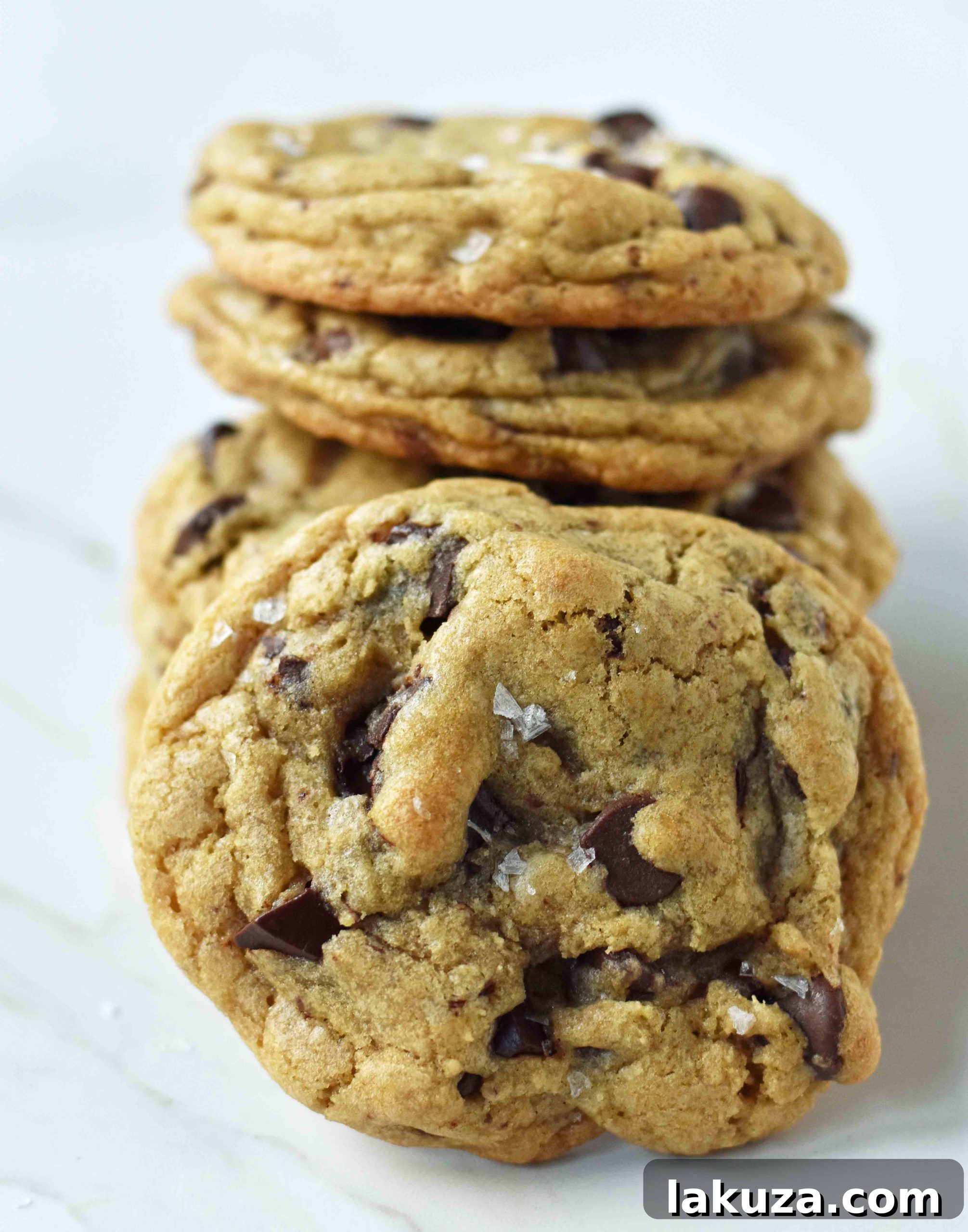 Rich Dark Chocolate Olive Oil Cookies 2 Decadent Dark Chocolate Chunk Olive Oil Cookies with crisp edges and a chewy center. The perfect cookie recipe using both olive oil and butter for an amazing texture and flavor.