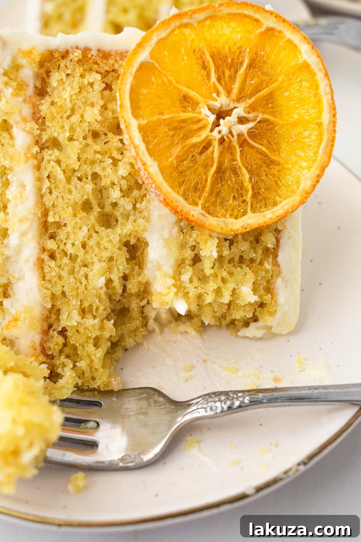 Zesty Orange Dream Cake 12 A vibrant, moist, and tender fresh orange cake adorned with sweet orange cream cheese frosting and elegant dried orange slices. This homemade orange cake bursts with bright citrus flavor, featuring fluffy layers perfectly enhanced by the frosting. Expert tips are included for achieving the best frosted or naked orange cake.