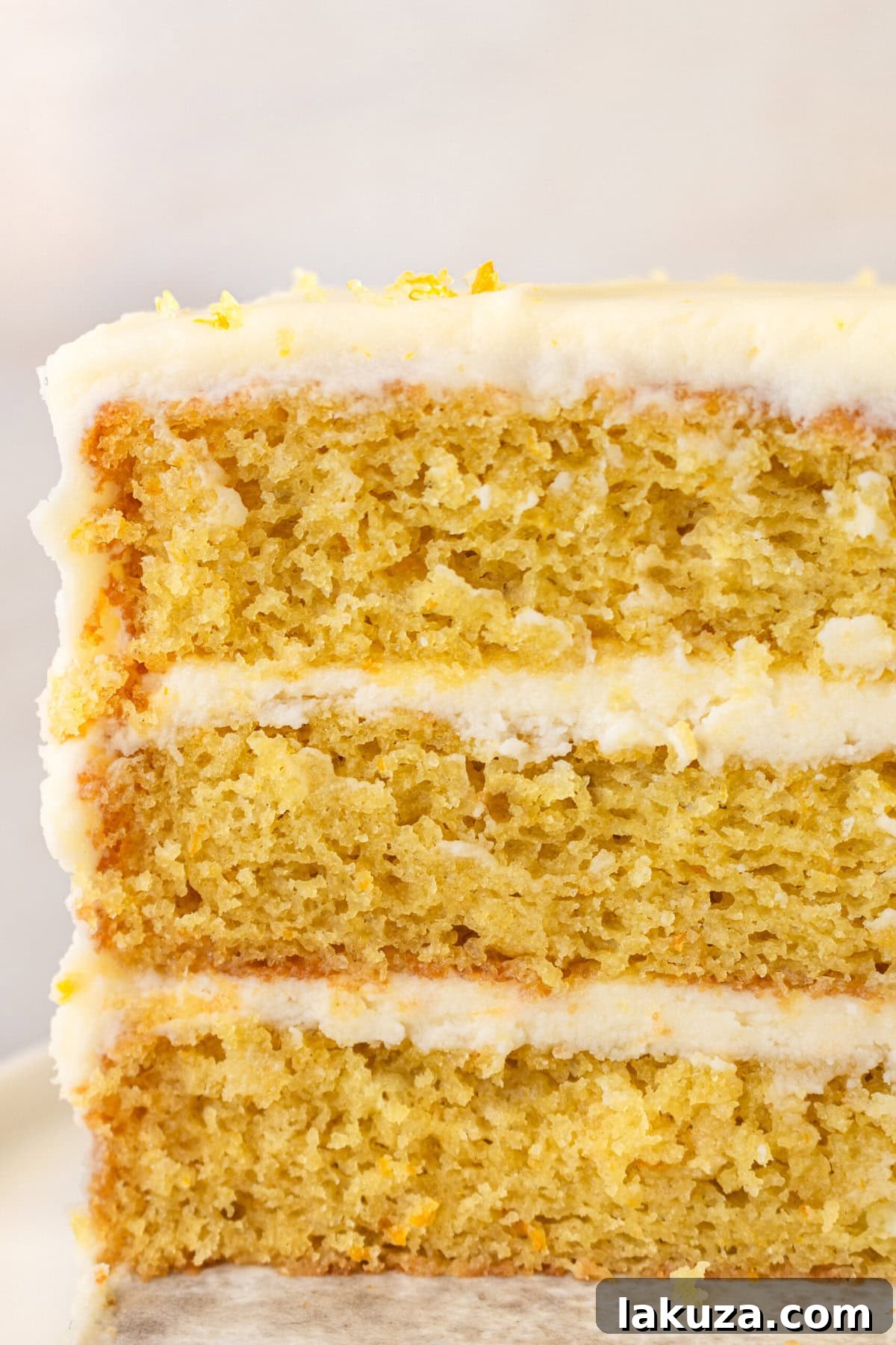 Zesty Orange Dream Cake 5 A slice of moist, tender fresh orange cake with a generous layer of sweet orange cream cheese frosting. The homemade orange cake is bursting with bright citrus flavor, and each fluffy layer is enhanced by the zesty frosting. This recipe includes tips for the perfect frosted or naked orange cake.
