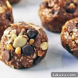 No-Bake Protein Energy Balls. High protein no-sugar-added energy bites. A healthy, filling snack recipe.