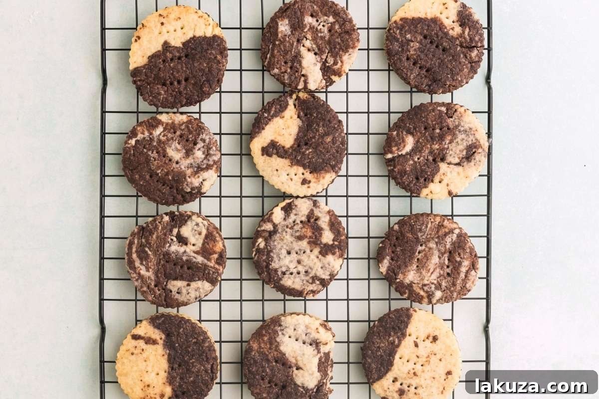Freshly baked chocolate marble shortbread cookies cooling on a wire rack.