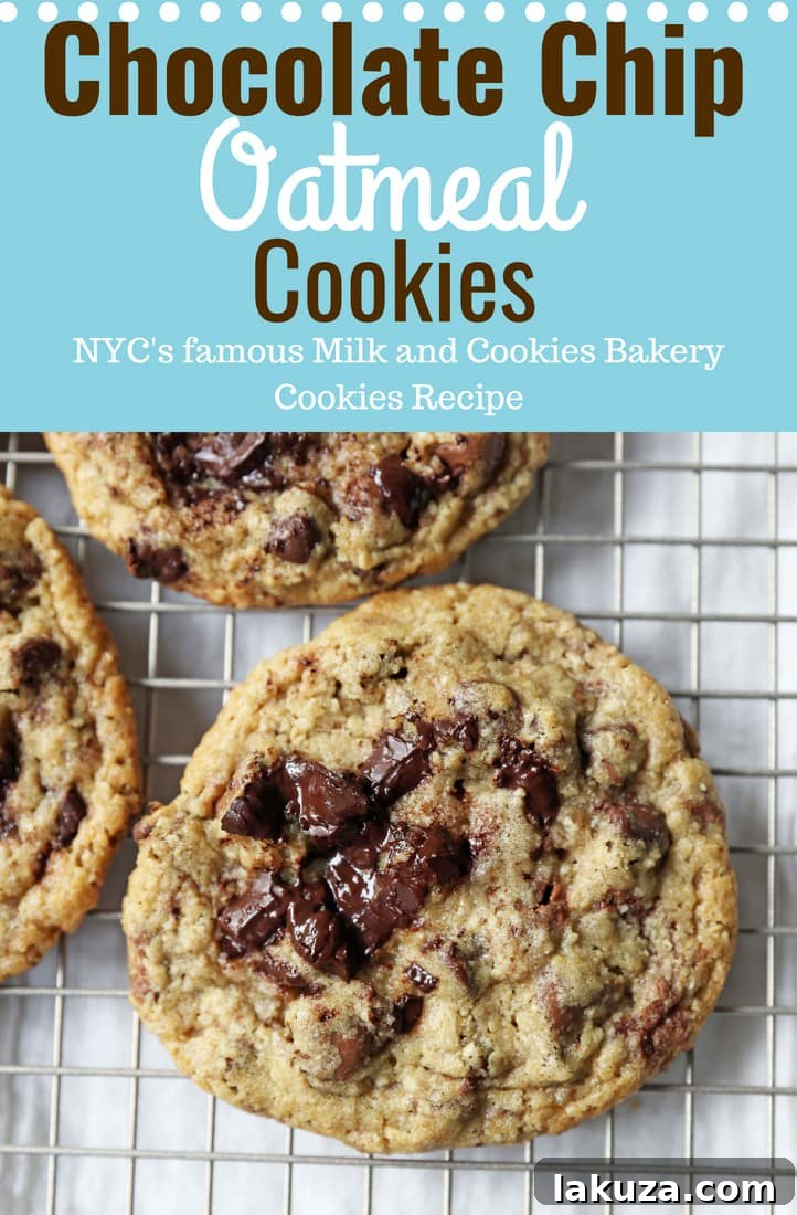 Final presentation of Chocolate Chip Oatmeal Cookies, showcasing their golden-brown edges and soft centers.