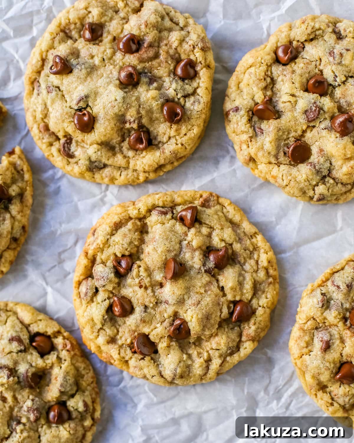Close-up of a freshly baked Chocolate Chip Oatmeal Cookie with melted chocolate and golden-brown edges