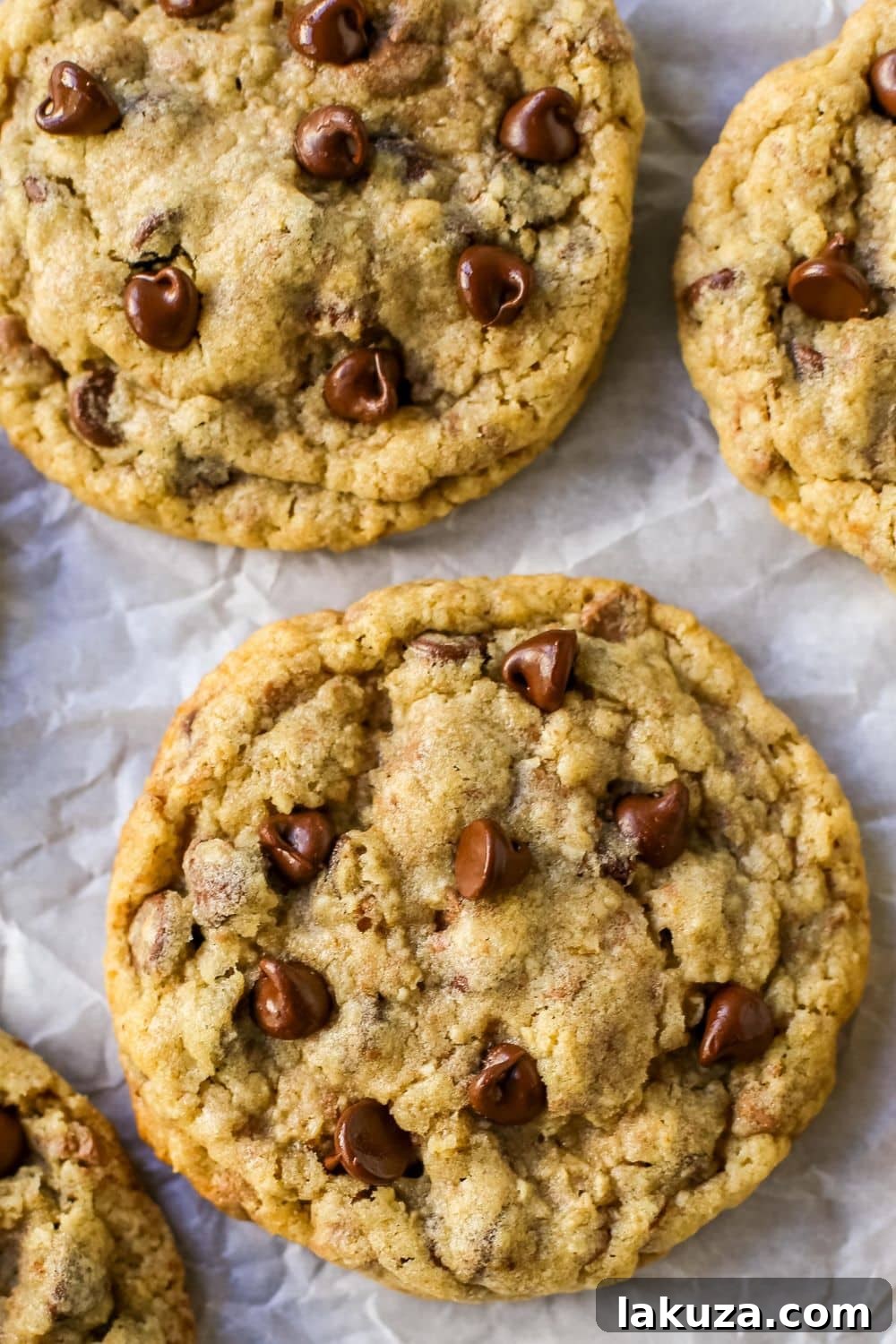 Pin image for Chocolate Chip Oatmeal Cookies, a Milk & Cookies Bakery copycat recipe.