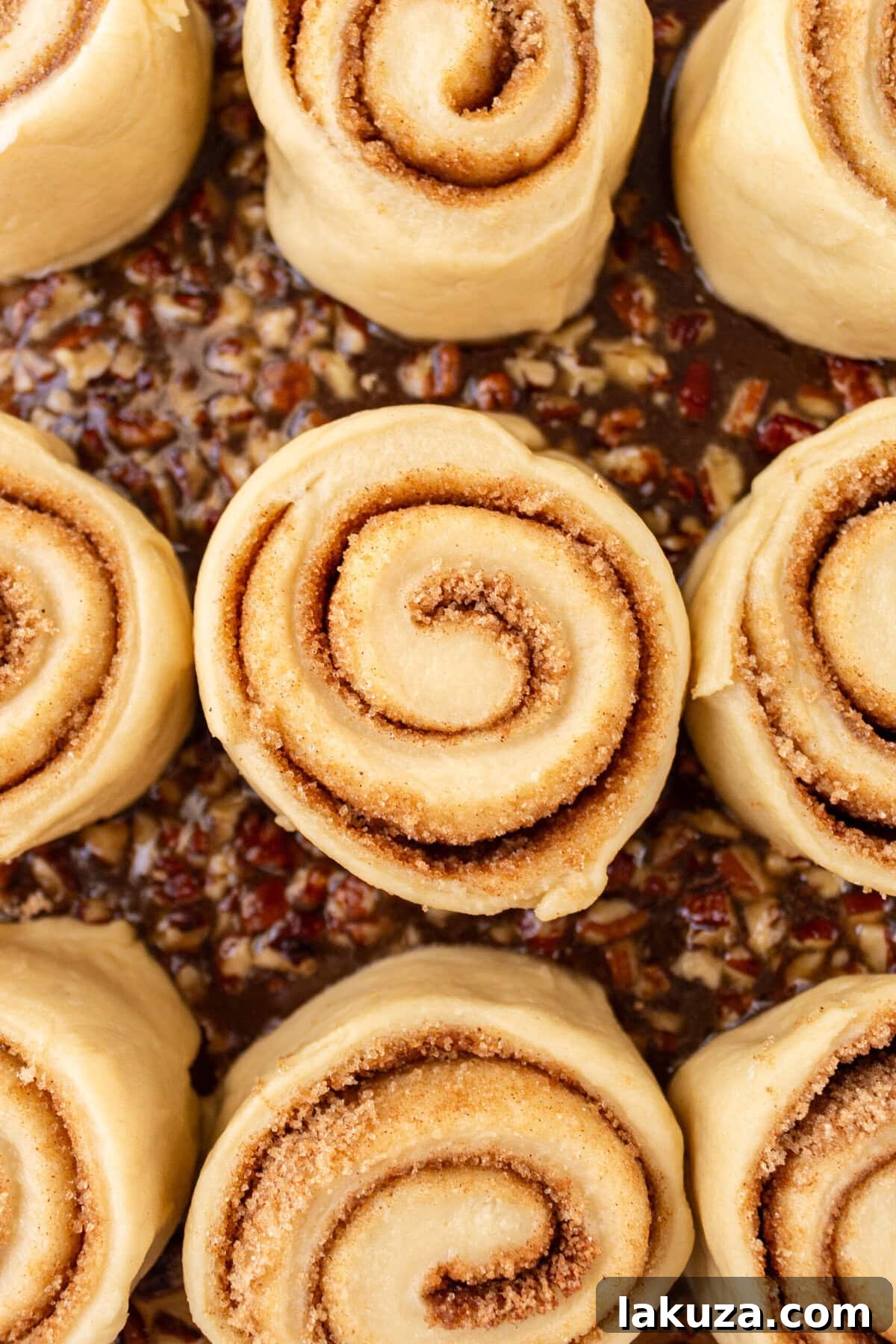 Sticky buns rising in a pan with caramel pecan sauce