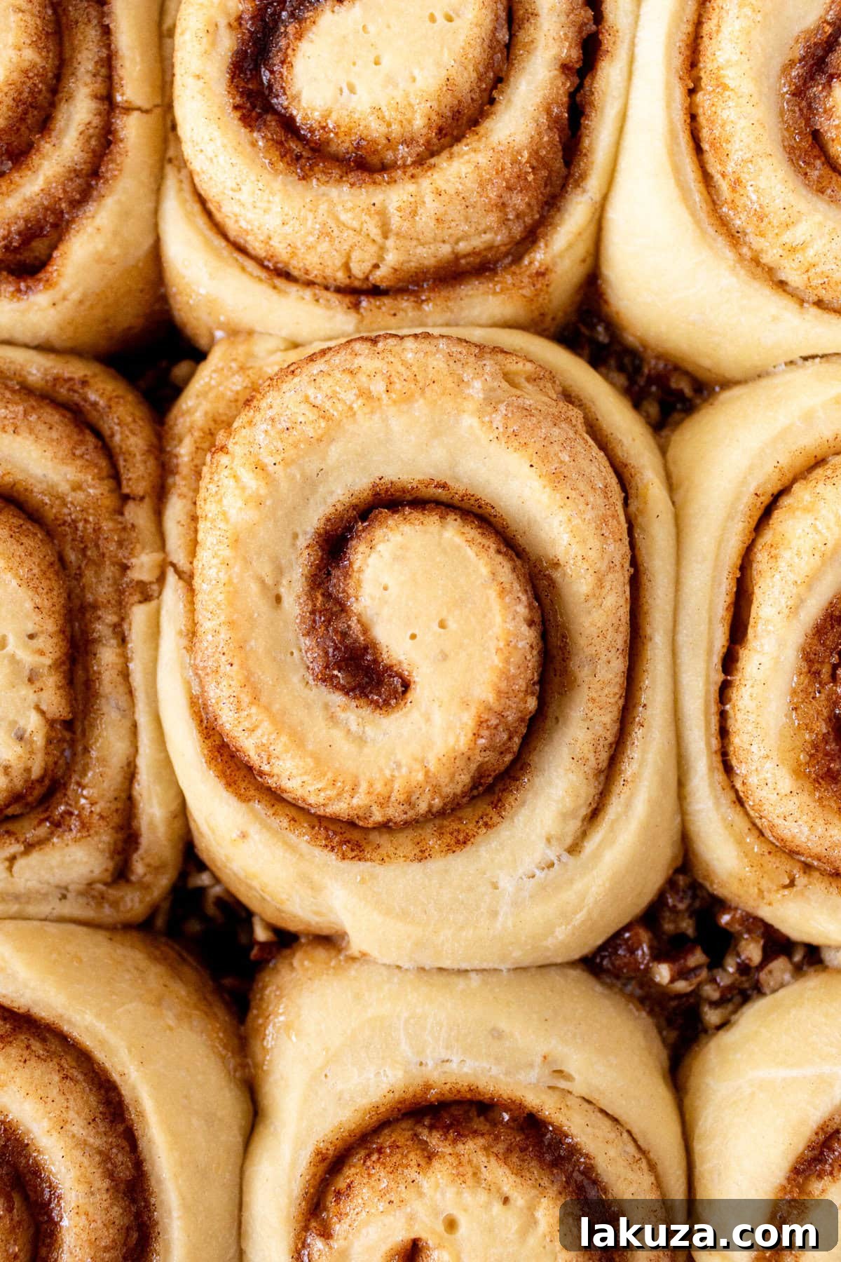Sticky buns rising in a pan and ready to bake in the oven.
