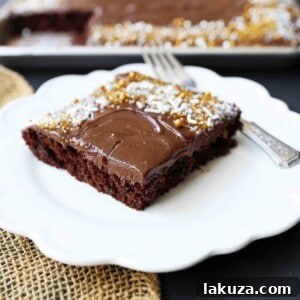 The Best Homemade Chocolate Sheet Cake with Milk Chocolate Frosting, quick and easy to make, served on a white plate.