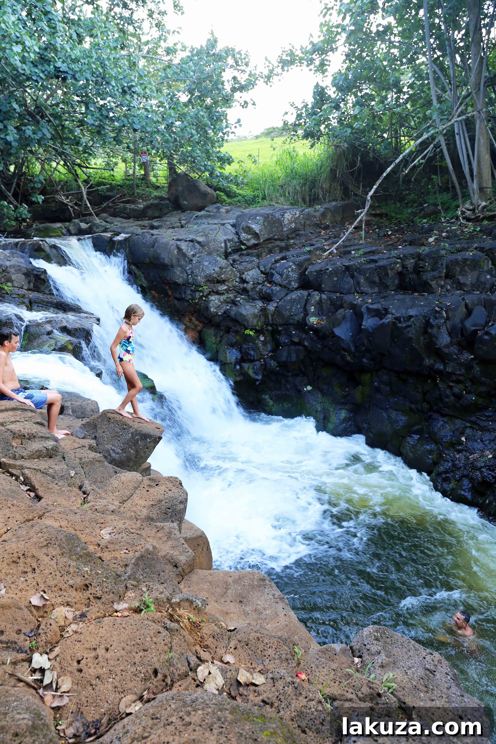 Kauai's Top Adventures and Culinary Delights 25 img 13857 24 scaled