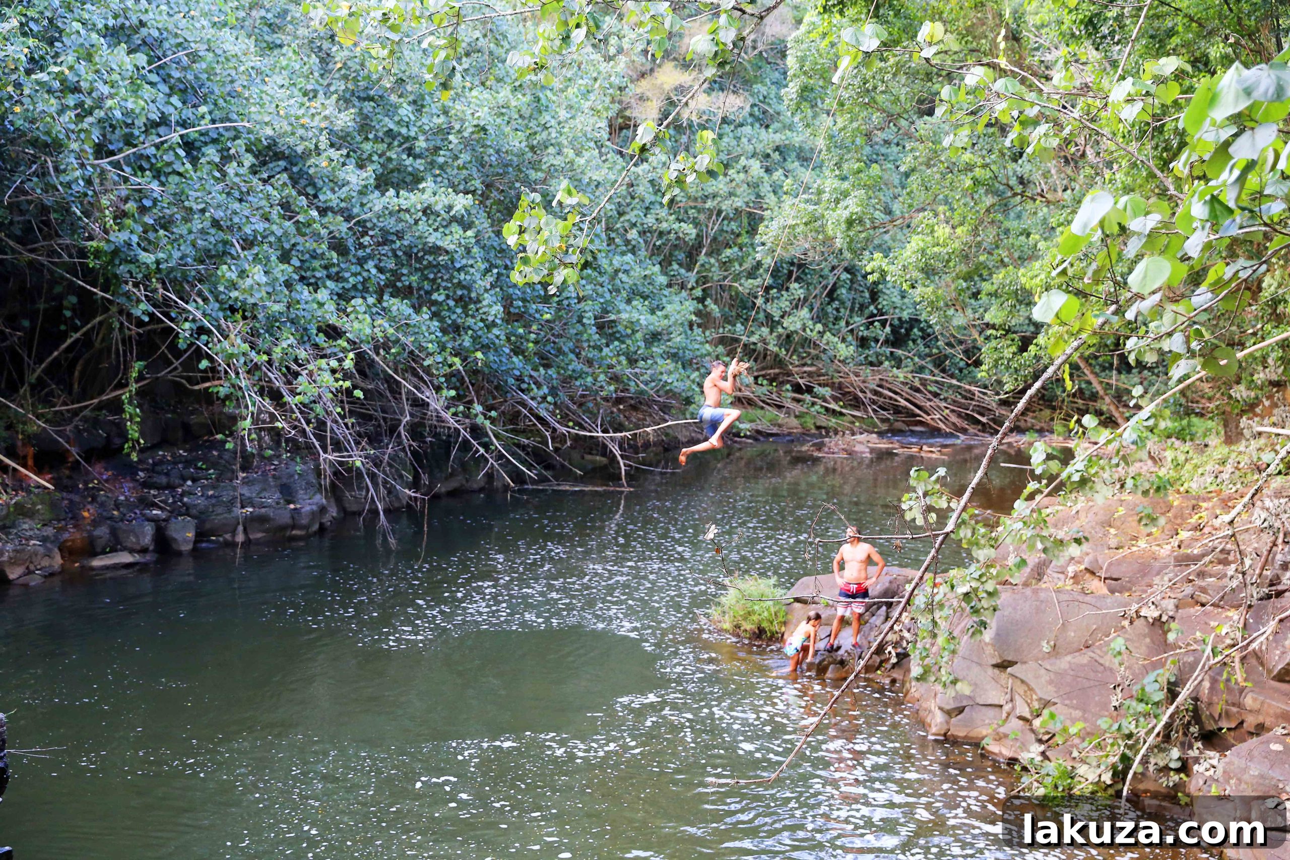Kauai's Top Adventures and Culinary Delights 26 img 13857 25 scaled