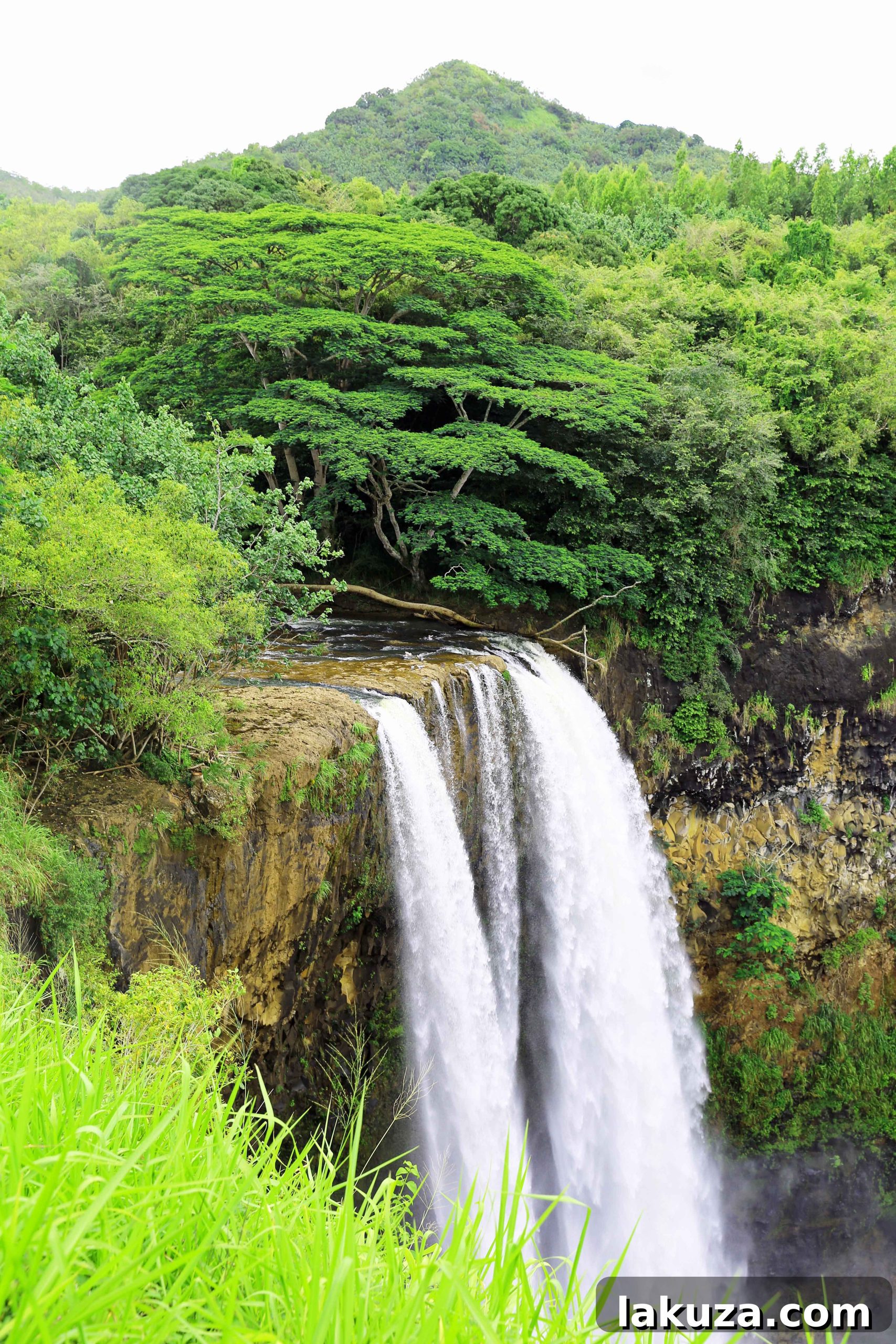 Kauai's Top Adventures and Culinary Delights 4 Kauai Hawaii Travel Guide. Wailua Falls Kauai Hawaii