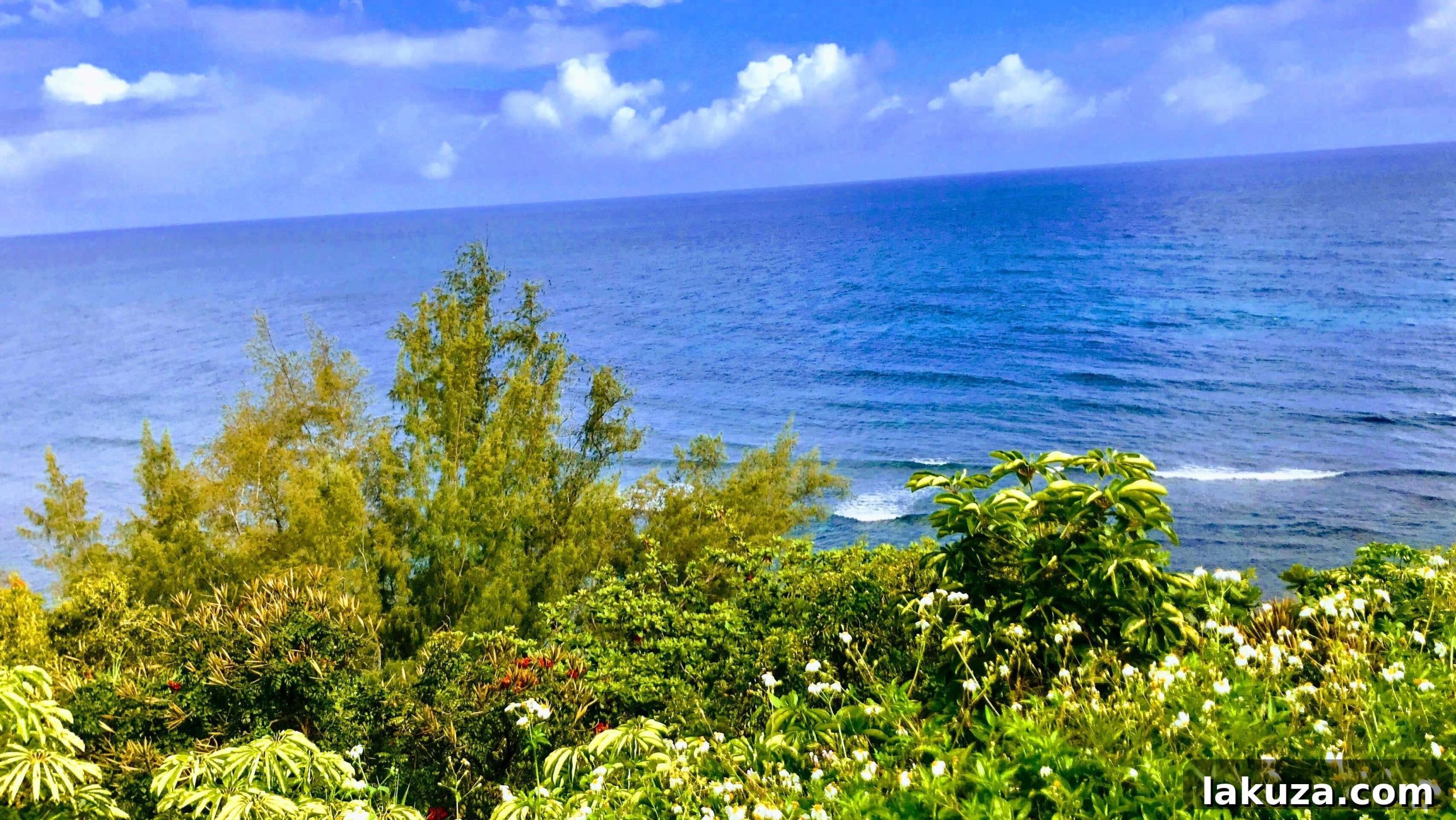 Kauai's Top Adventures and Culinary Delights 37 Views from Princeville Puu Poa Condos