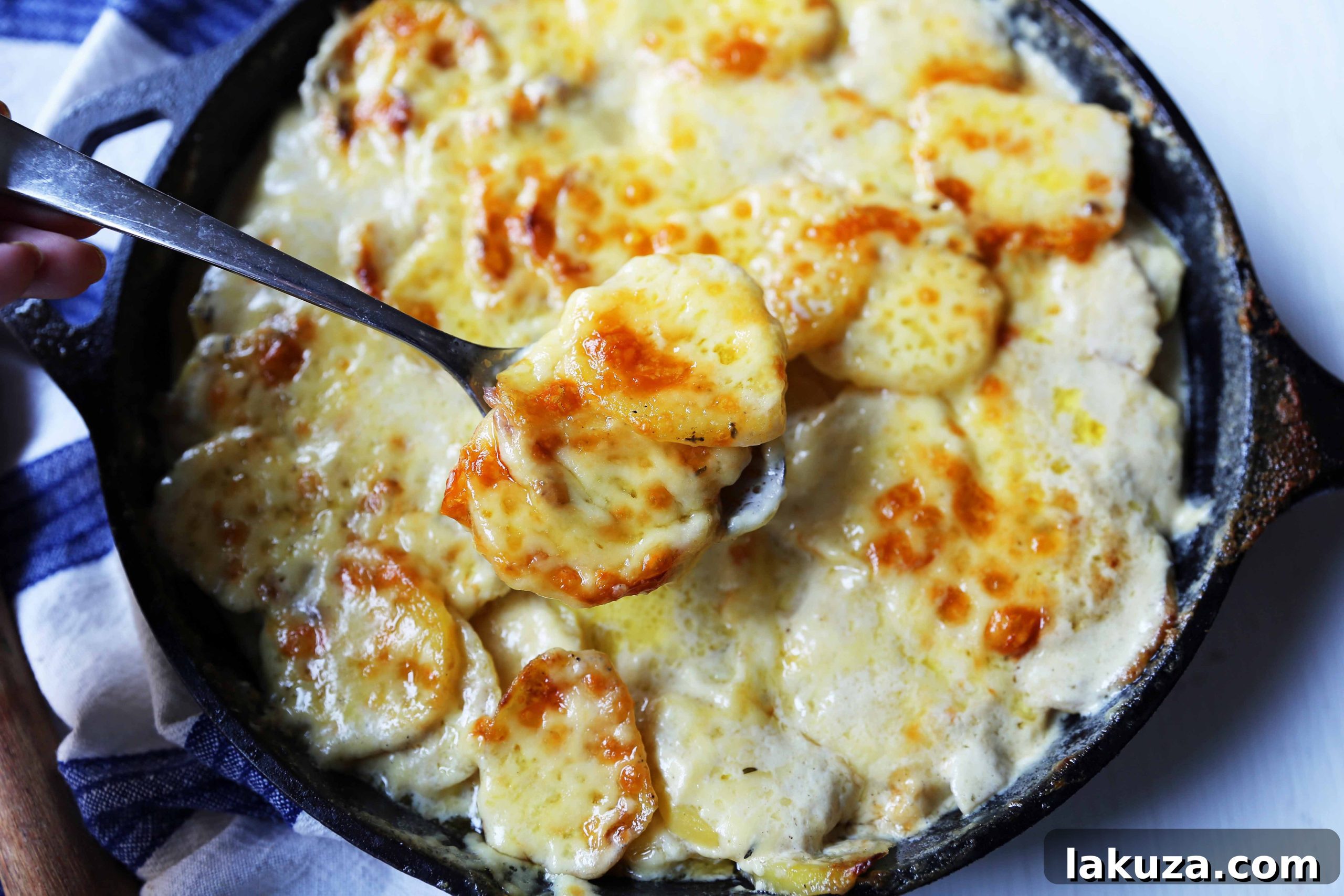 Mouthwatering Cheesy Potato Gratin 6 Close-up of golden-brown cheesy potatoes au gratin in a baking dish, highlighting the crispy cheese and soft potato layers.