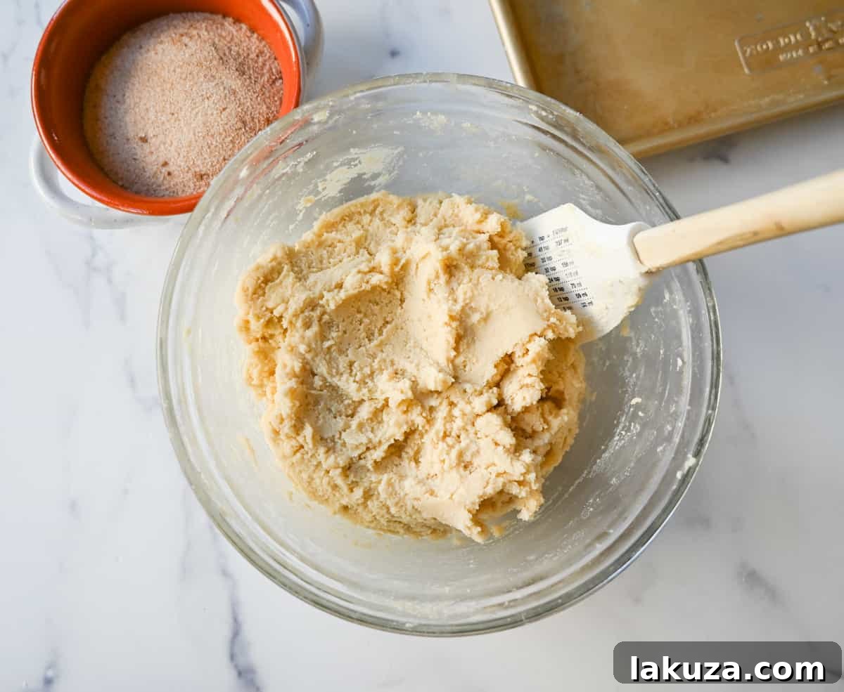 Snickerdoodles cookie dough mixing dry ingredients